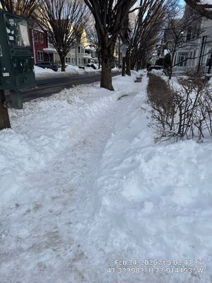 Residential Snow Clearing in New Haven