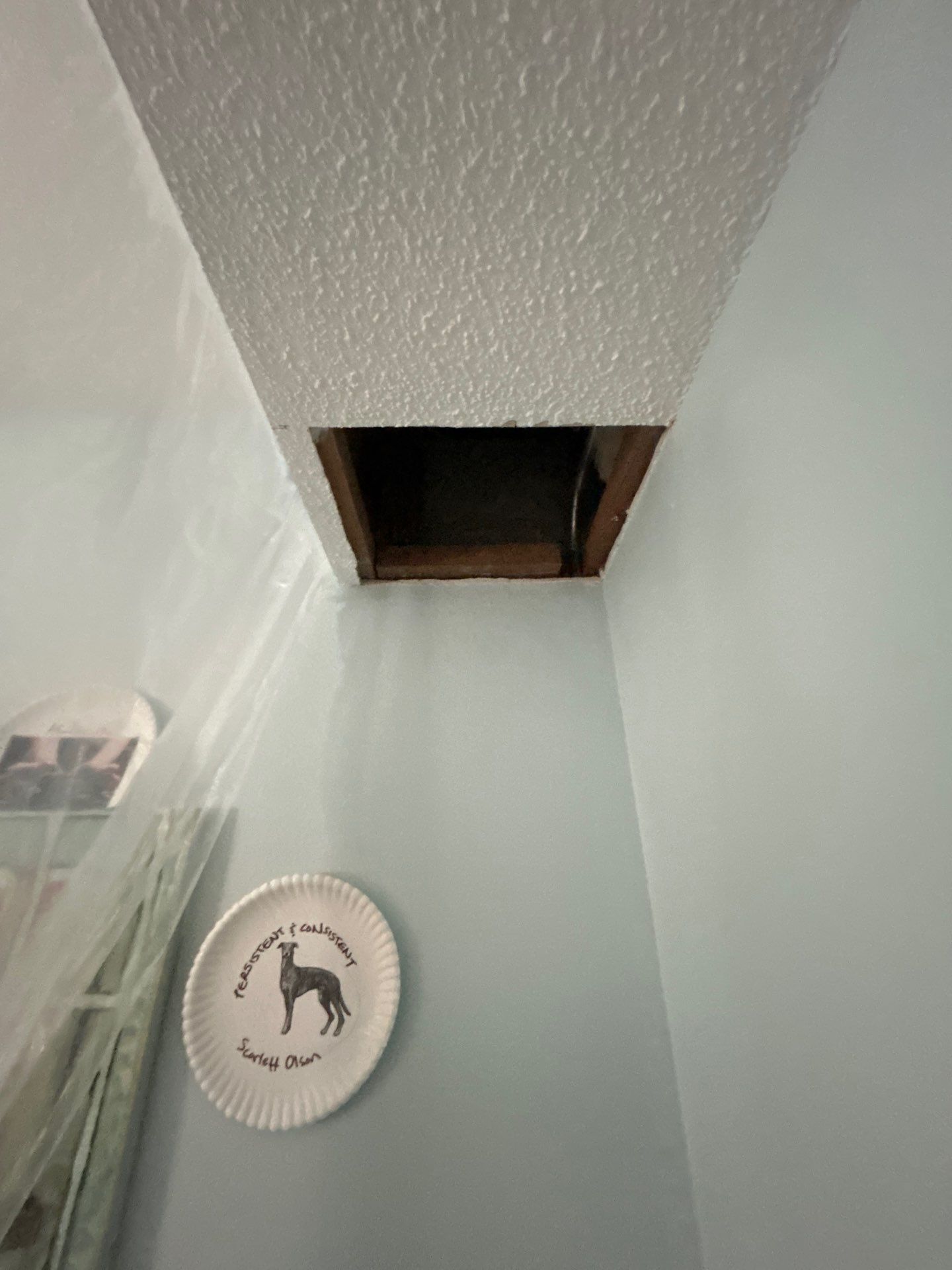 Water Damage & Mold Removal  by Ampm Restoration Services 