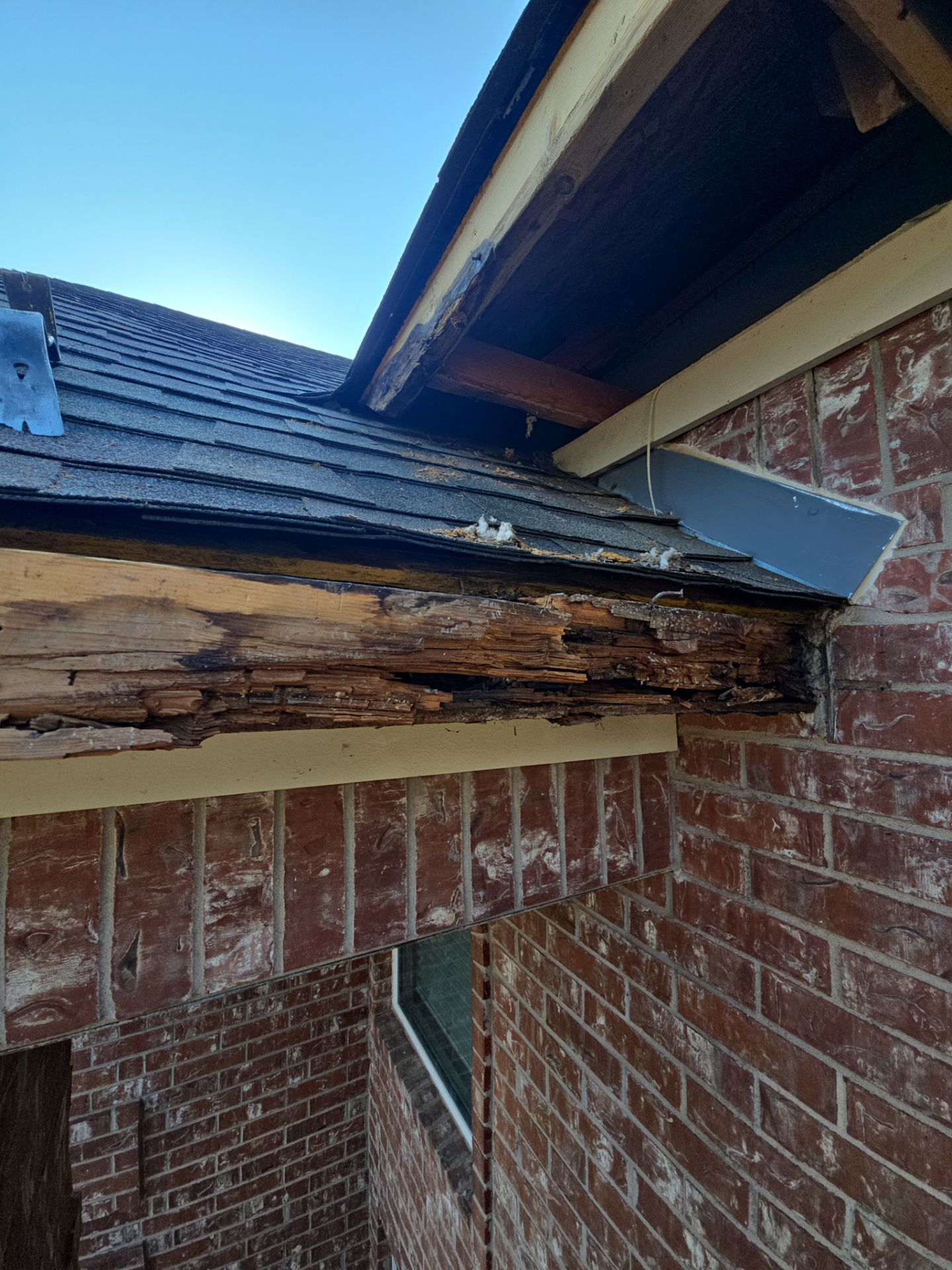 Dog Door Replacement by First Out Roofing 