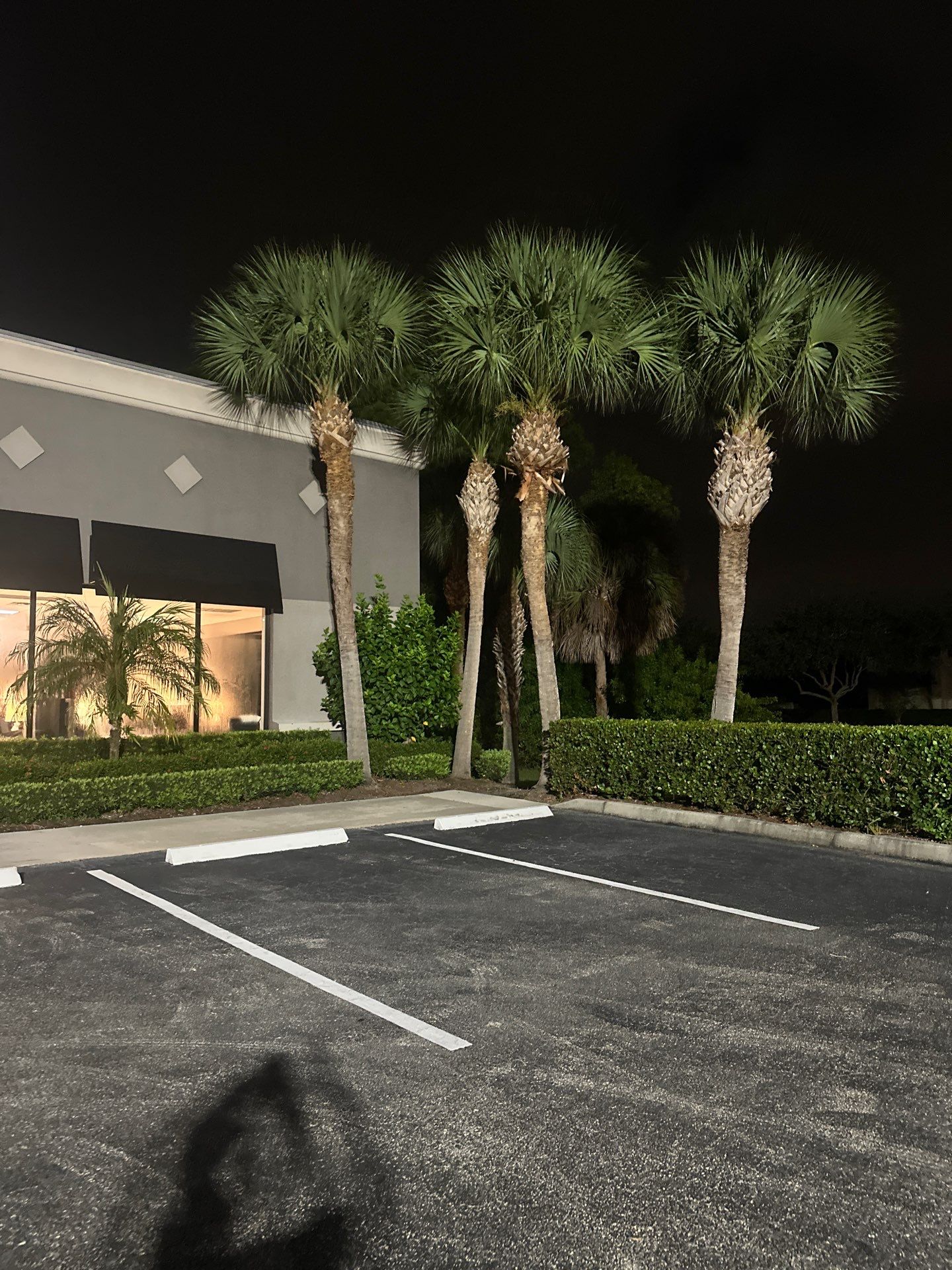 🛏️ City Mattress Refresh — Jensen Beach by Alpha Zeta Enterprises Inc