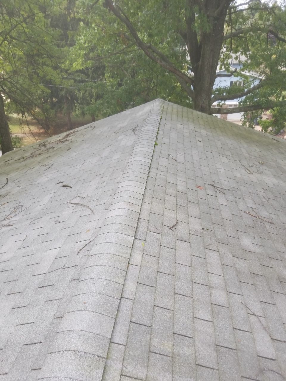 Megan Shull by Silver Leaf Contracting 