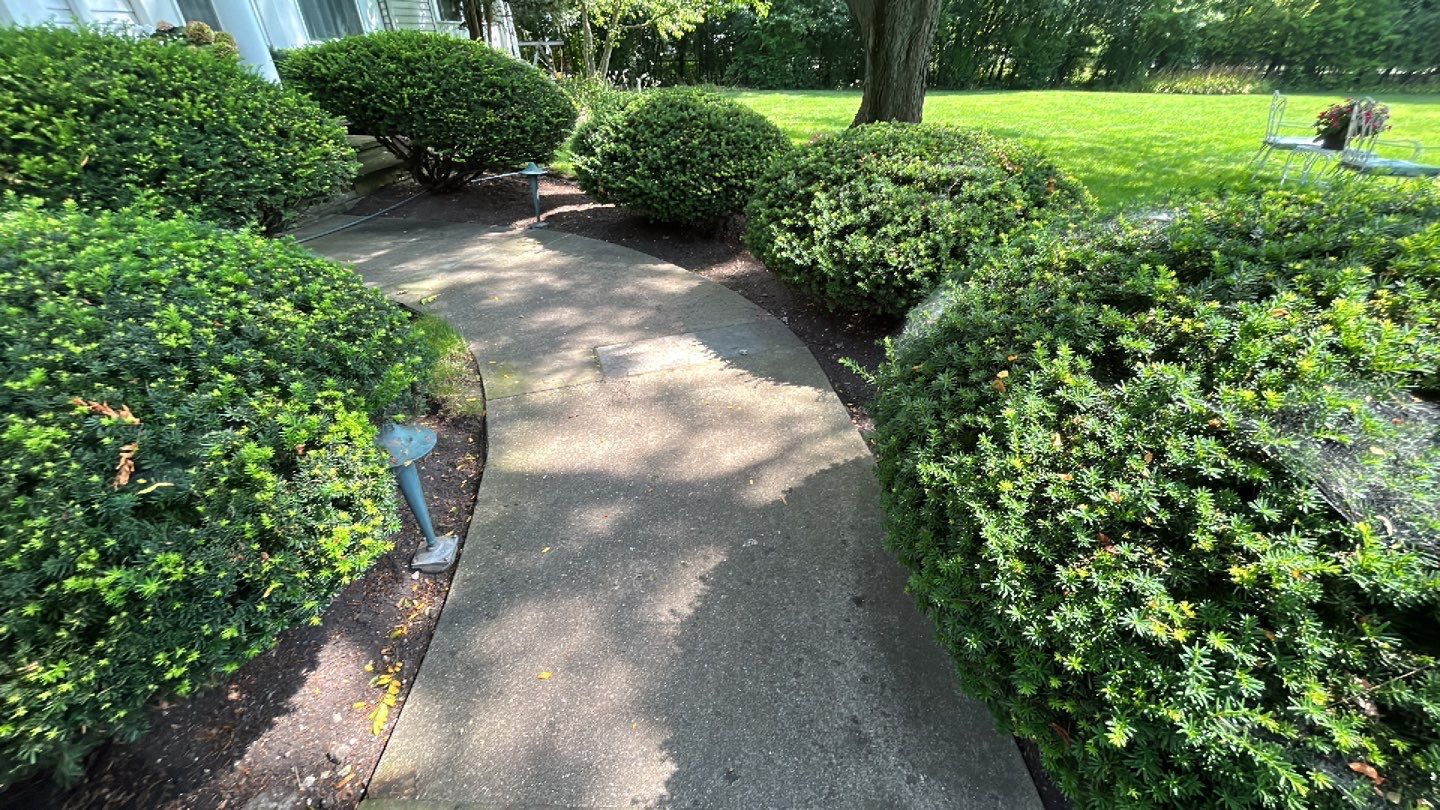 Housewashing  using Algaecide, soft wash soap by Northern Power Washing LLC.
