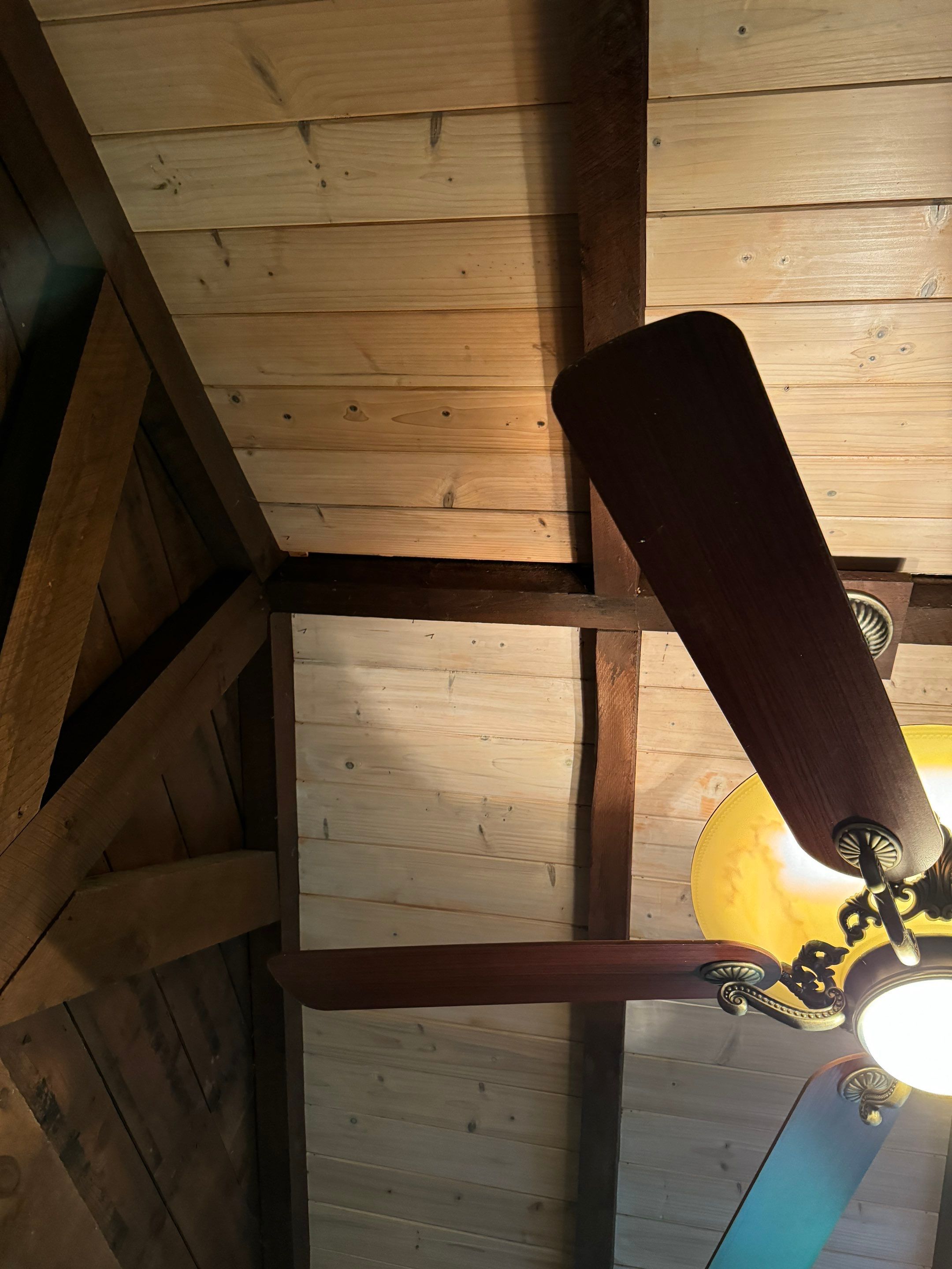 Attic & Sunroom Mold Remediation by Home Guarantee, LLC