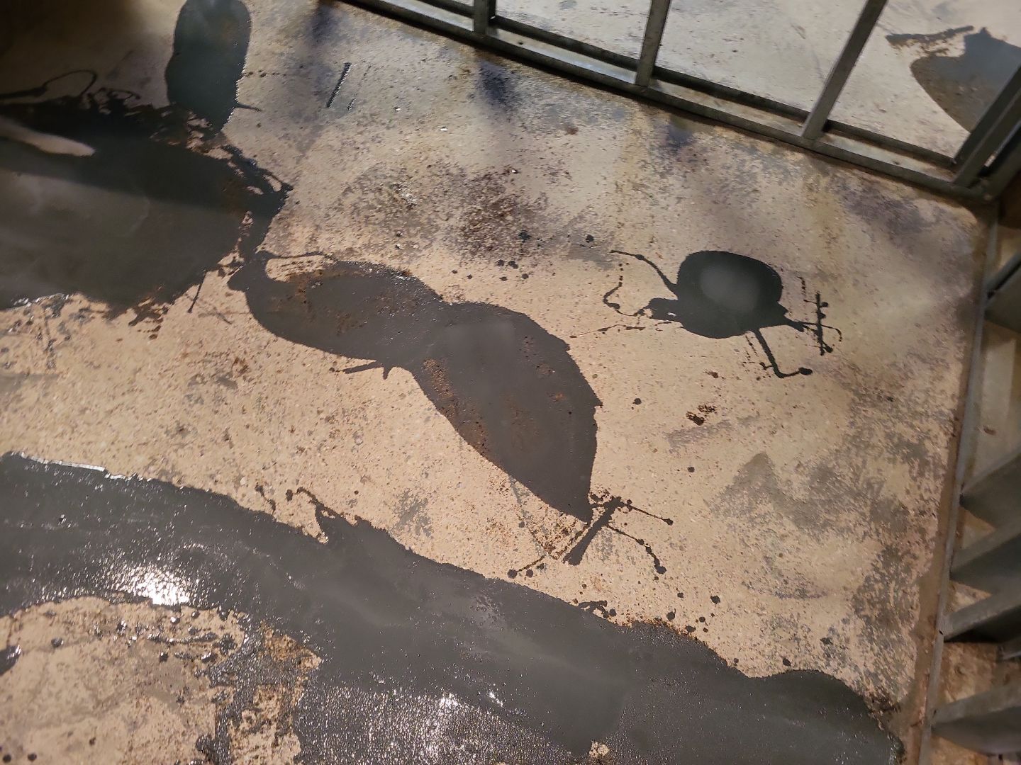 Basement Concrete Floor Coating with Penntek Flake System by Spectrum Painting, LLC