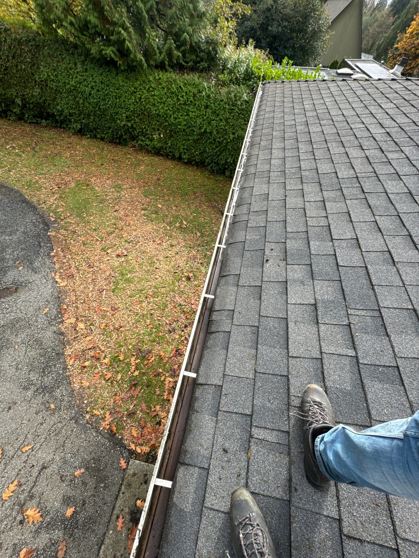 Gutter Cleaning- Taylor Way by YVR Construction Group