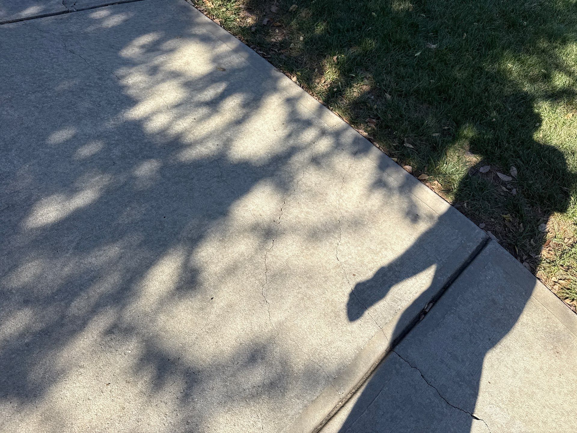 Project in Indian Land by Badger Hauling