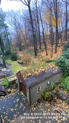 Gutter Cleaning Bronx