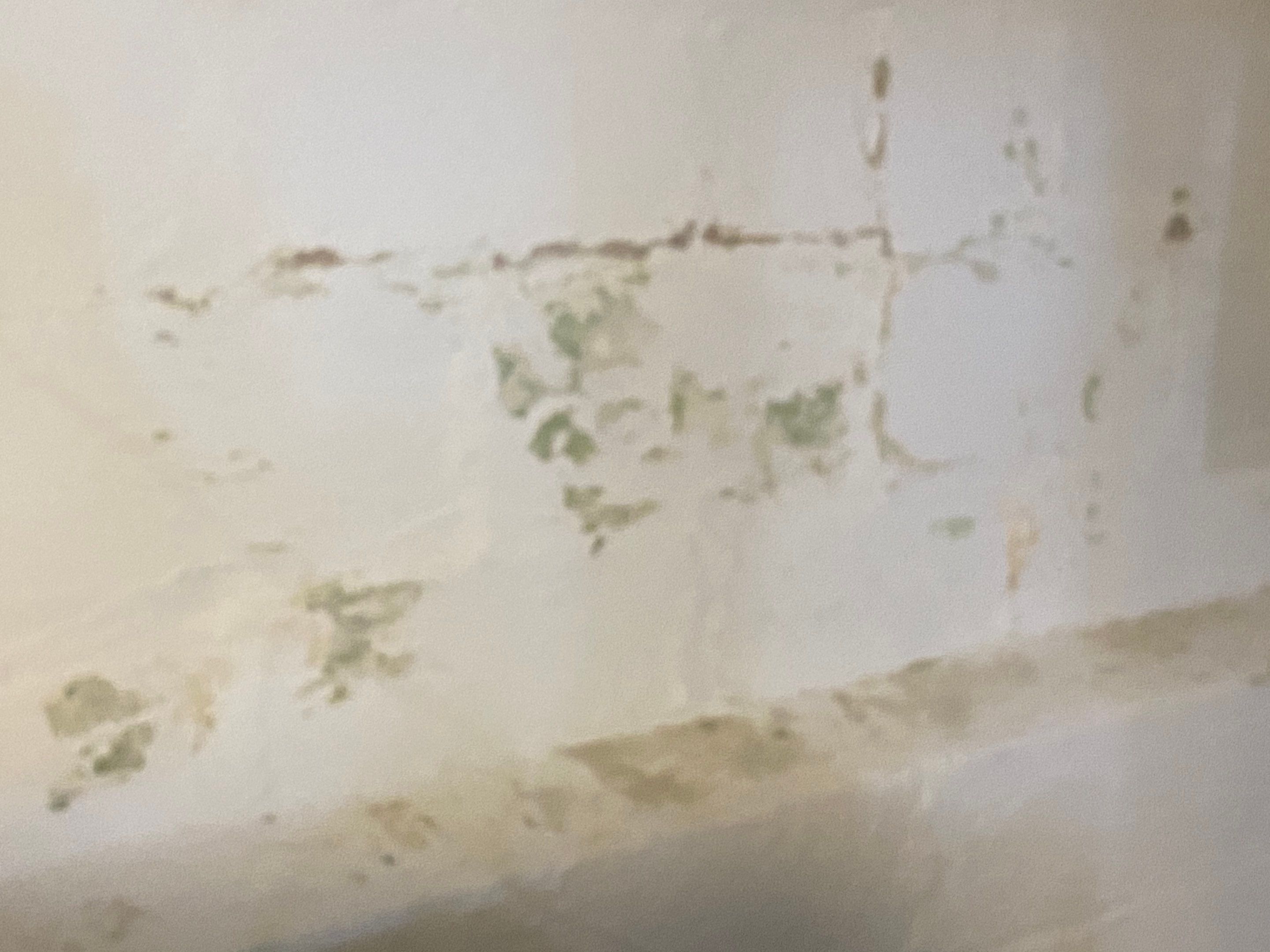 Interior French Drain Job in Bloomfield, NJ by Pure Service Pro, LLC 