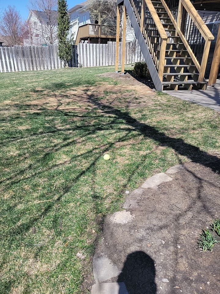 Landscape upadates. by New Horizon Landscapes