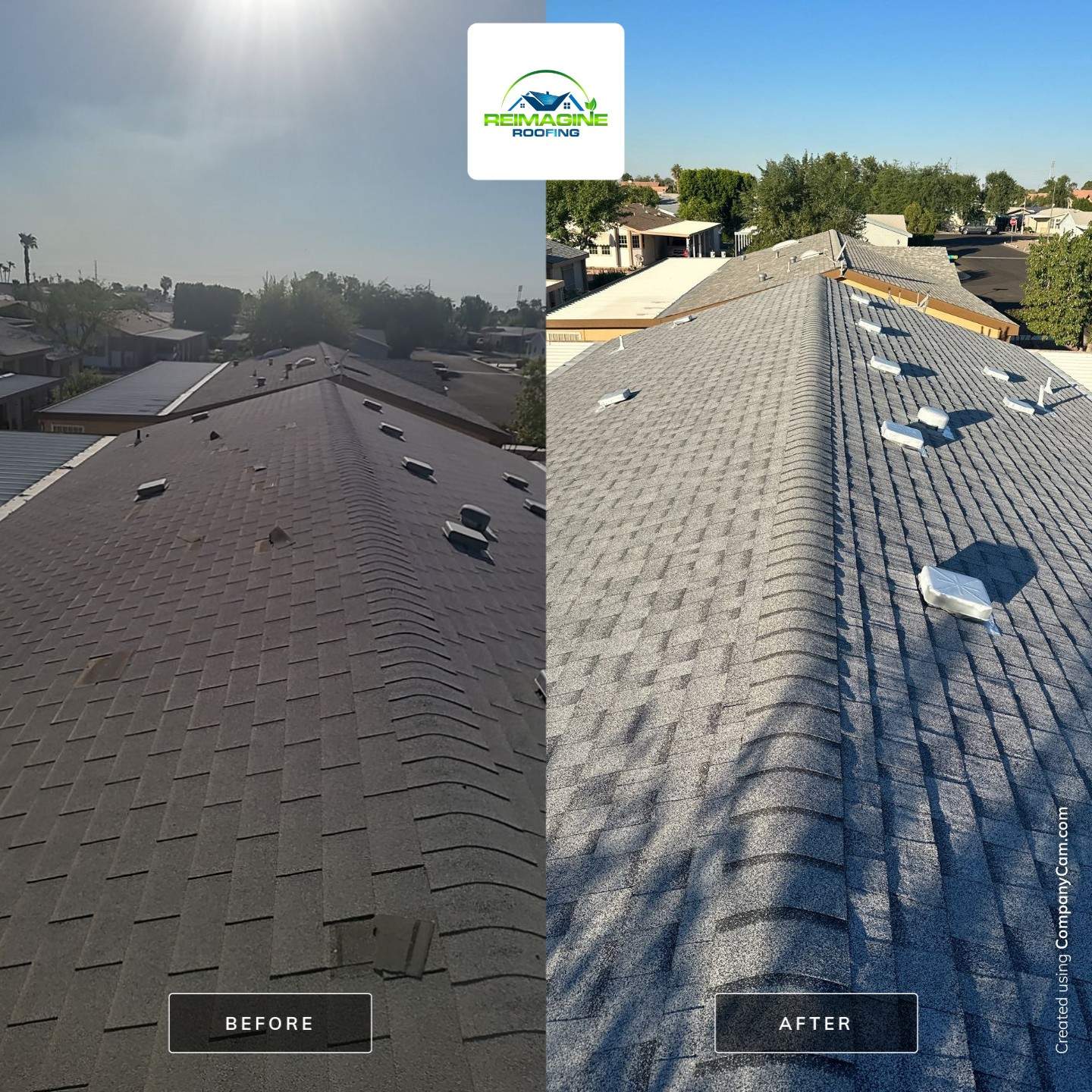 Silver Birch Shingles by Reimagine Roofing