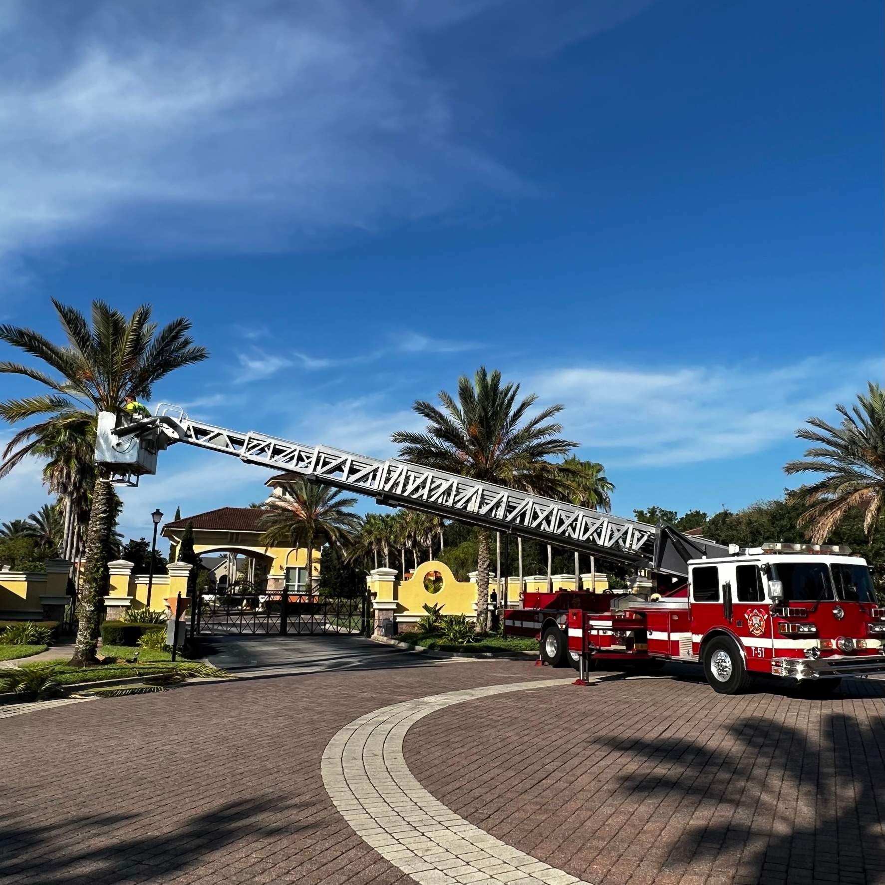 Palm Tree Trimming | IL Villagio Condominiums by ProGreen Services