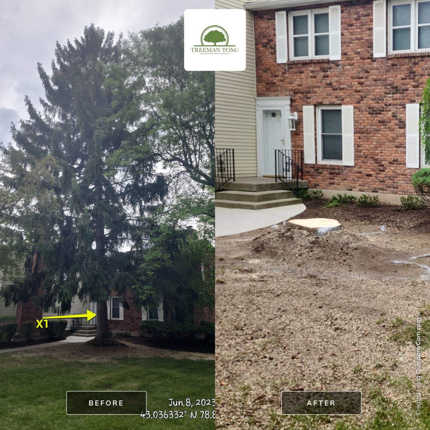 Commercial Project by Treeman Tom LLC