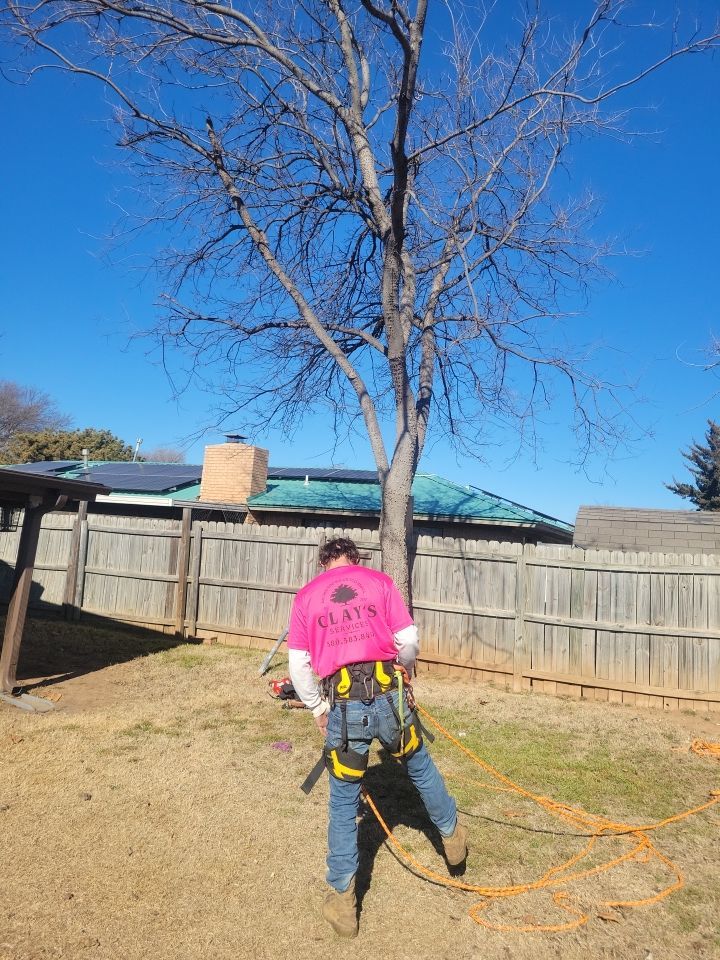 Fence , Concrete Pads , and Tree Removal by Clays Services Inc
