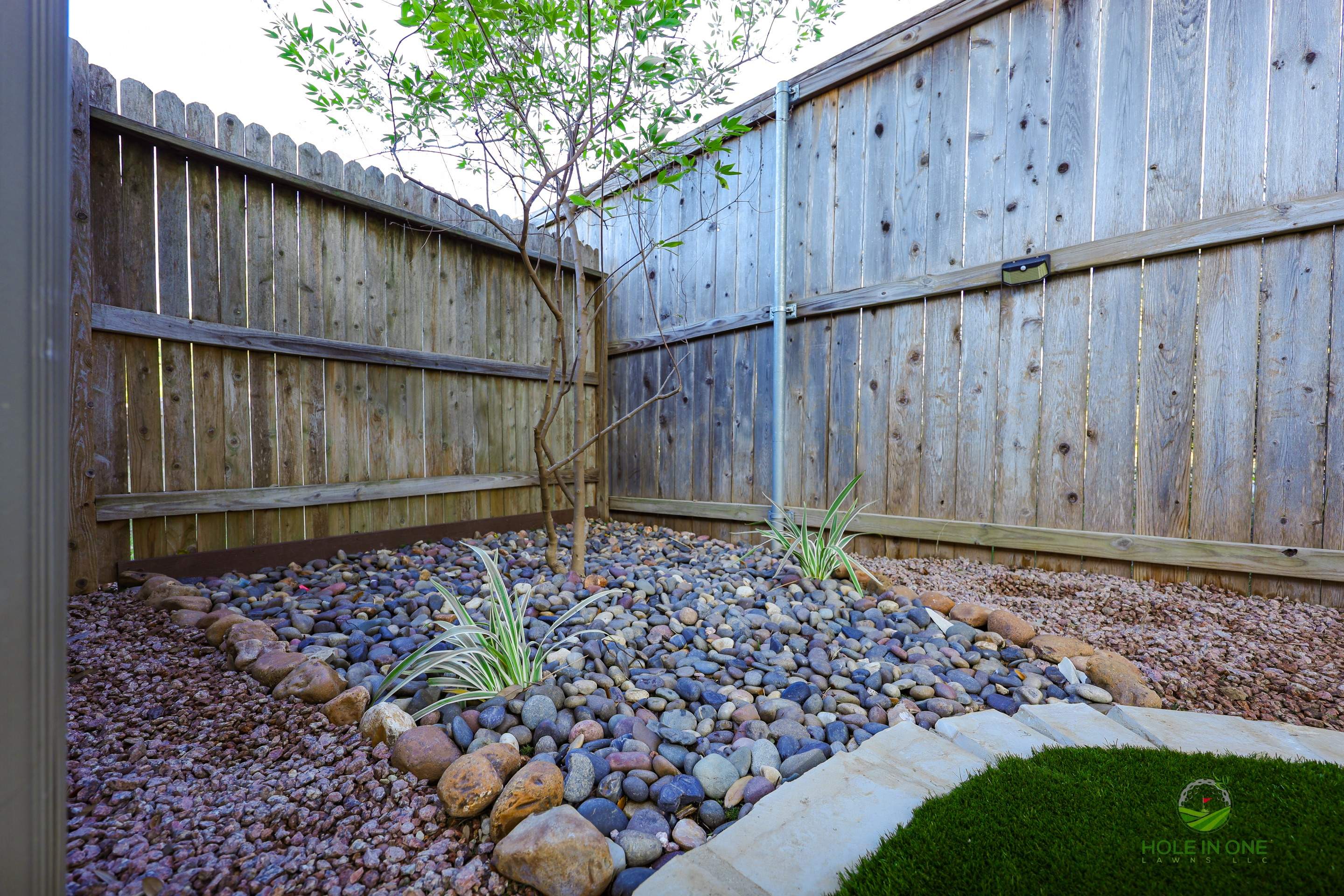 Wortham Oak, San Antonio Tx. by Hole In One Lawns, LLC