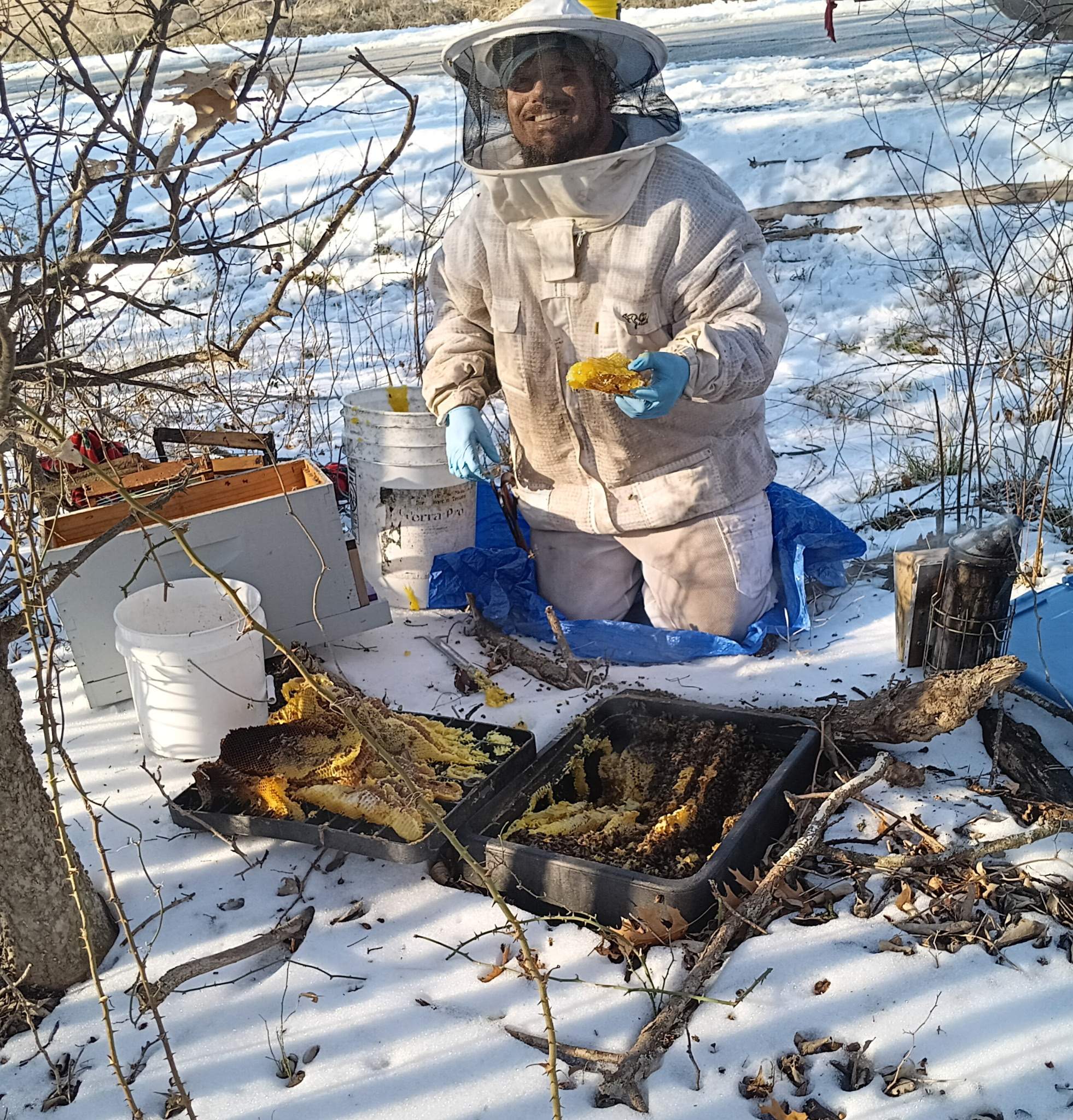 Winter Freeze Bees by Rockwall Honey Bee Company