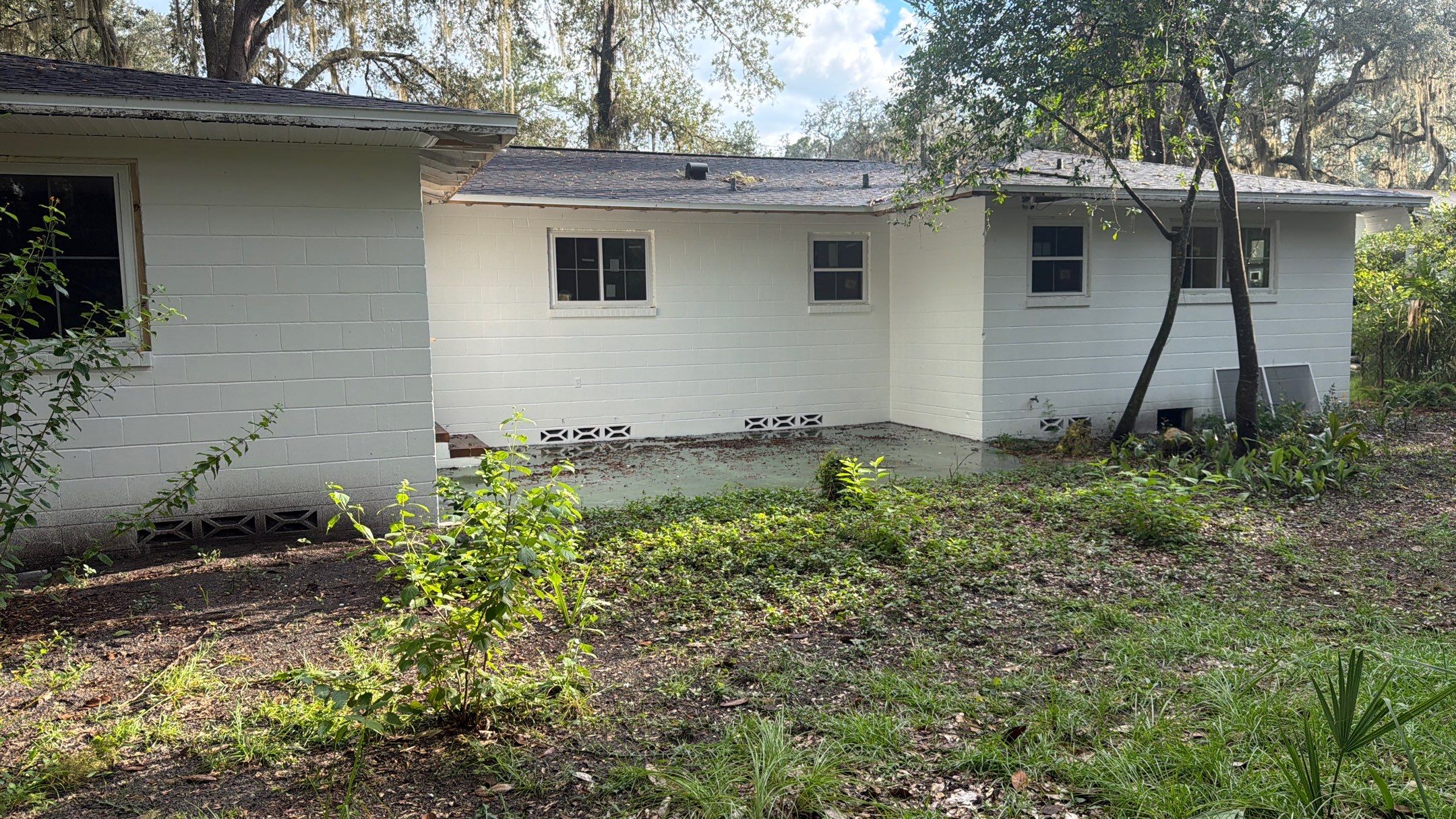 Energy Efficient Window Replacement for Gainesville White Brick Ranch by Windows & Doors Store