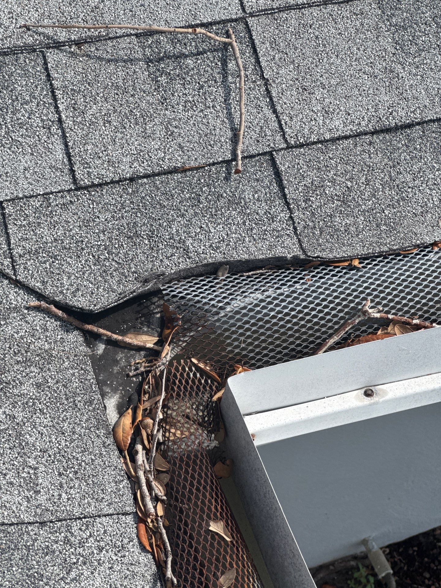 Roof Damage Claim in St. Petersburg by FLAPA & KeyStone