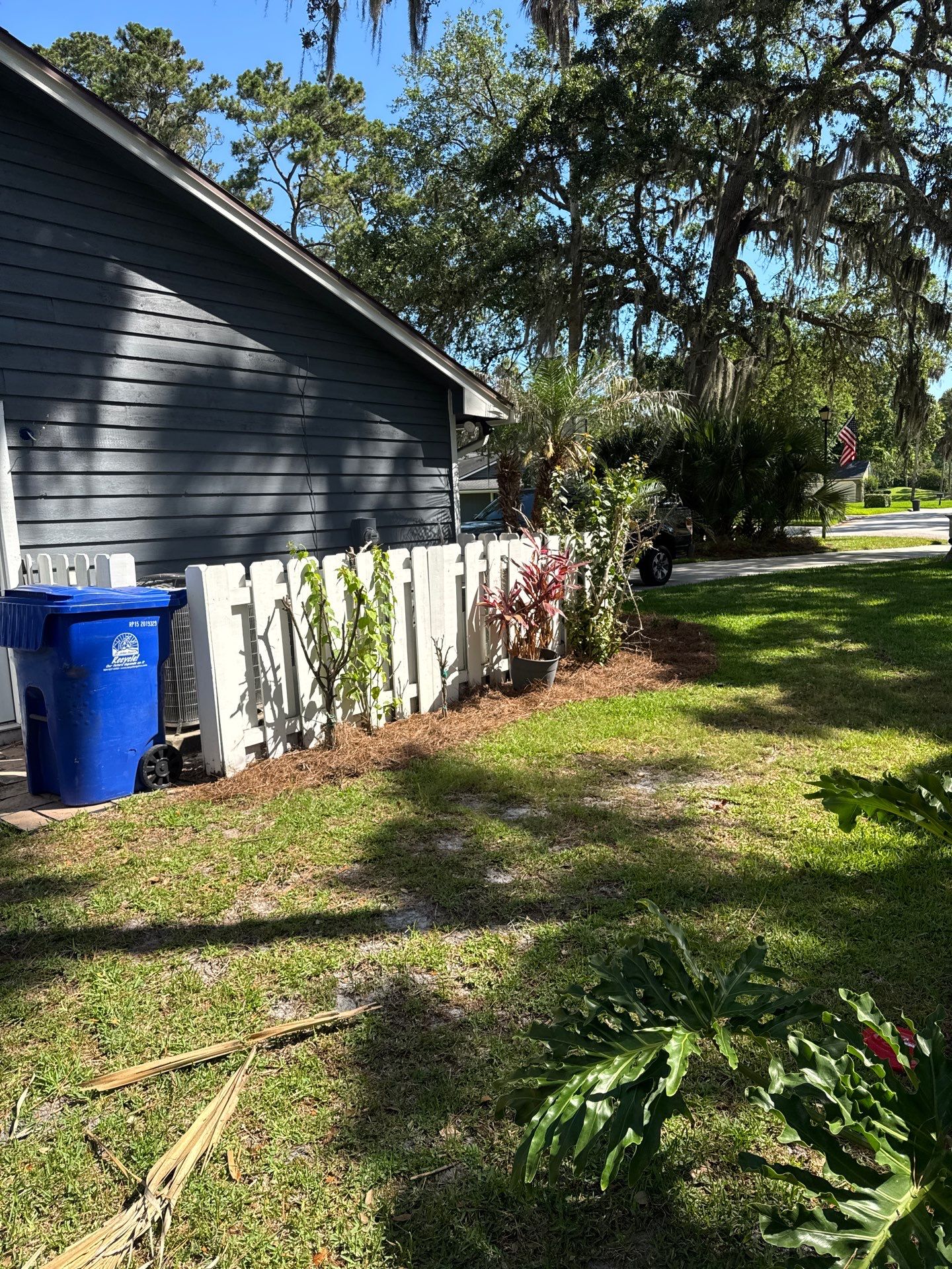 Residential | Pine Straw Install by ProGreen Services