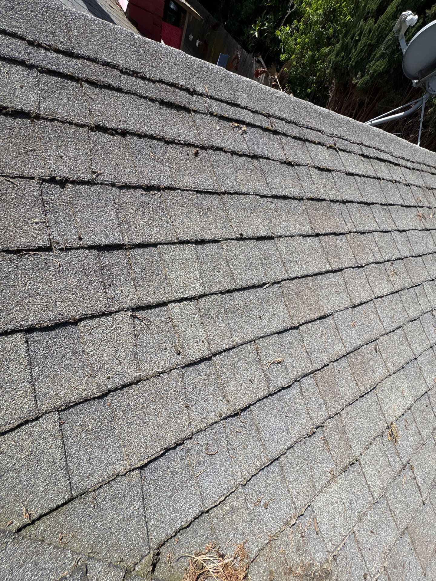Roof Rejuvenation using Roof Maxx Treatment by Roof Maxx of Folsom
