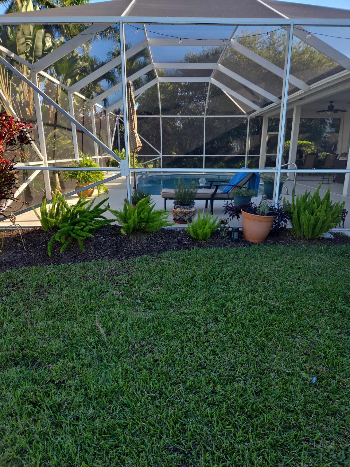 🌴 Landscape Removal and Install in Palm City by Alpha Zeta Enterprises Inc