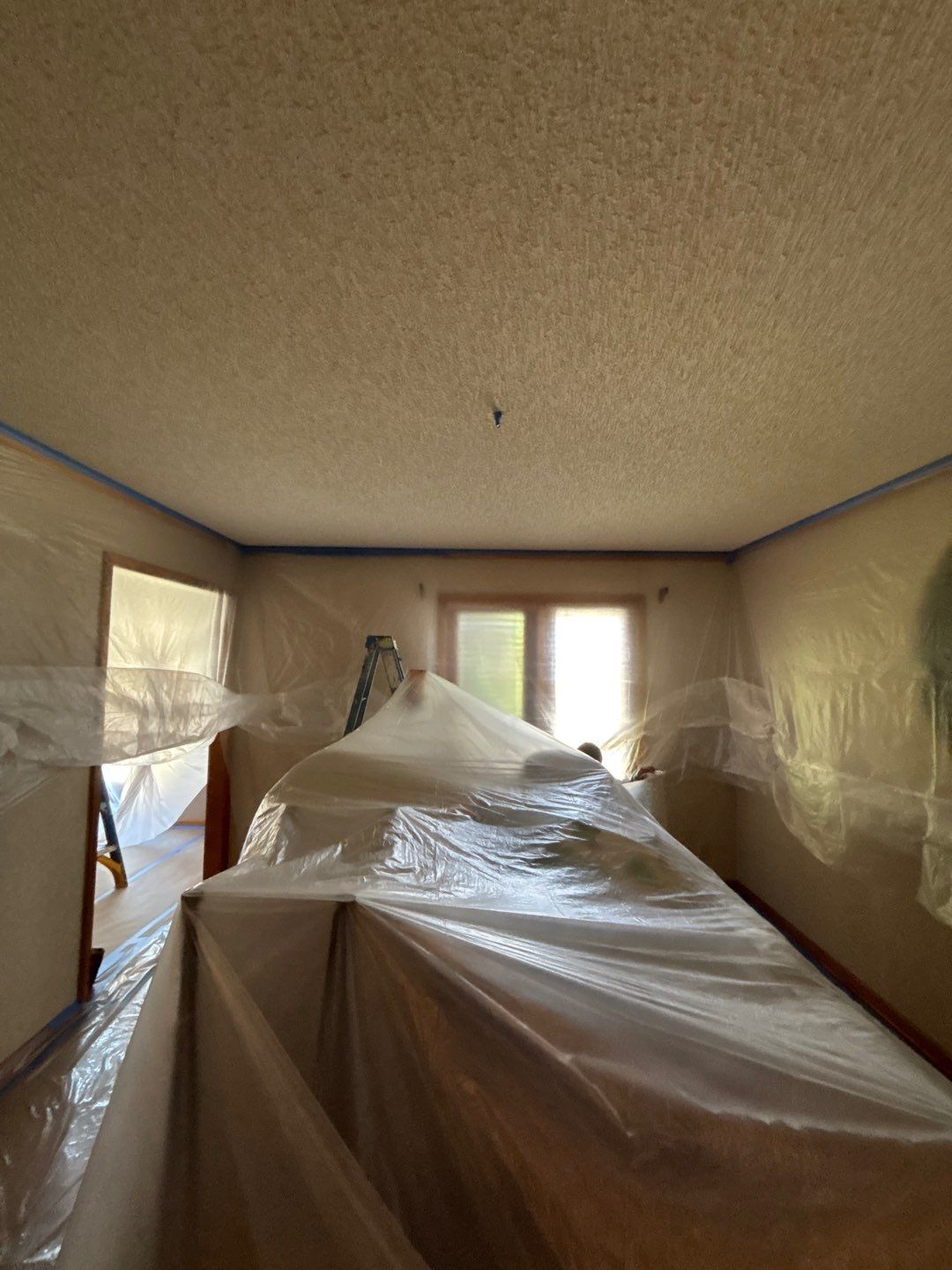 Level Up Your Ceiling: Texture Removal & Refinishing by Cougar Painting