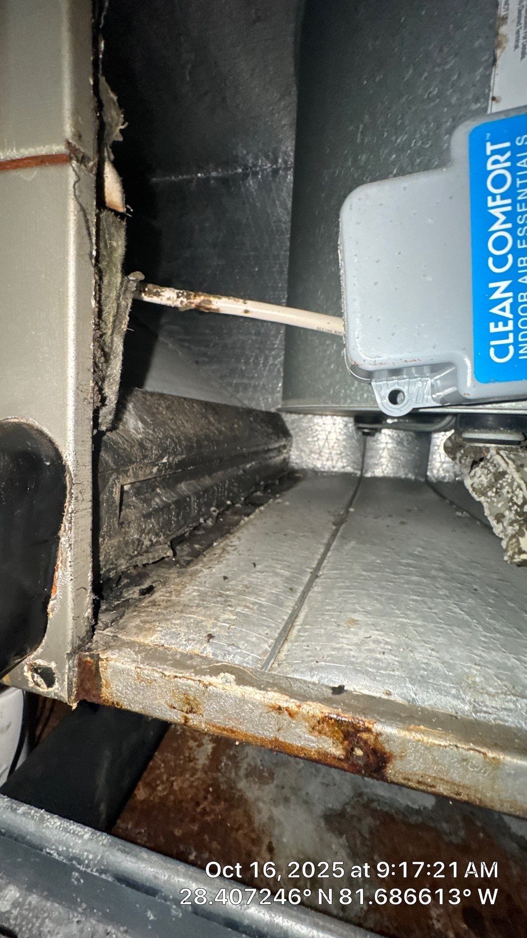 Air Duct Cleaning in Clermont by Hygienic Air, Inc