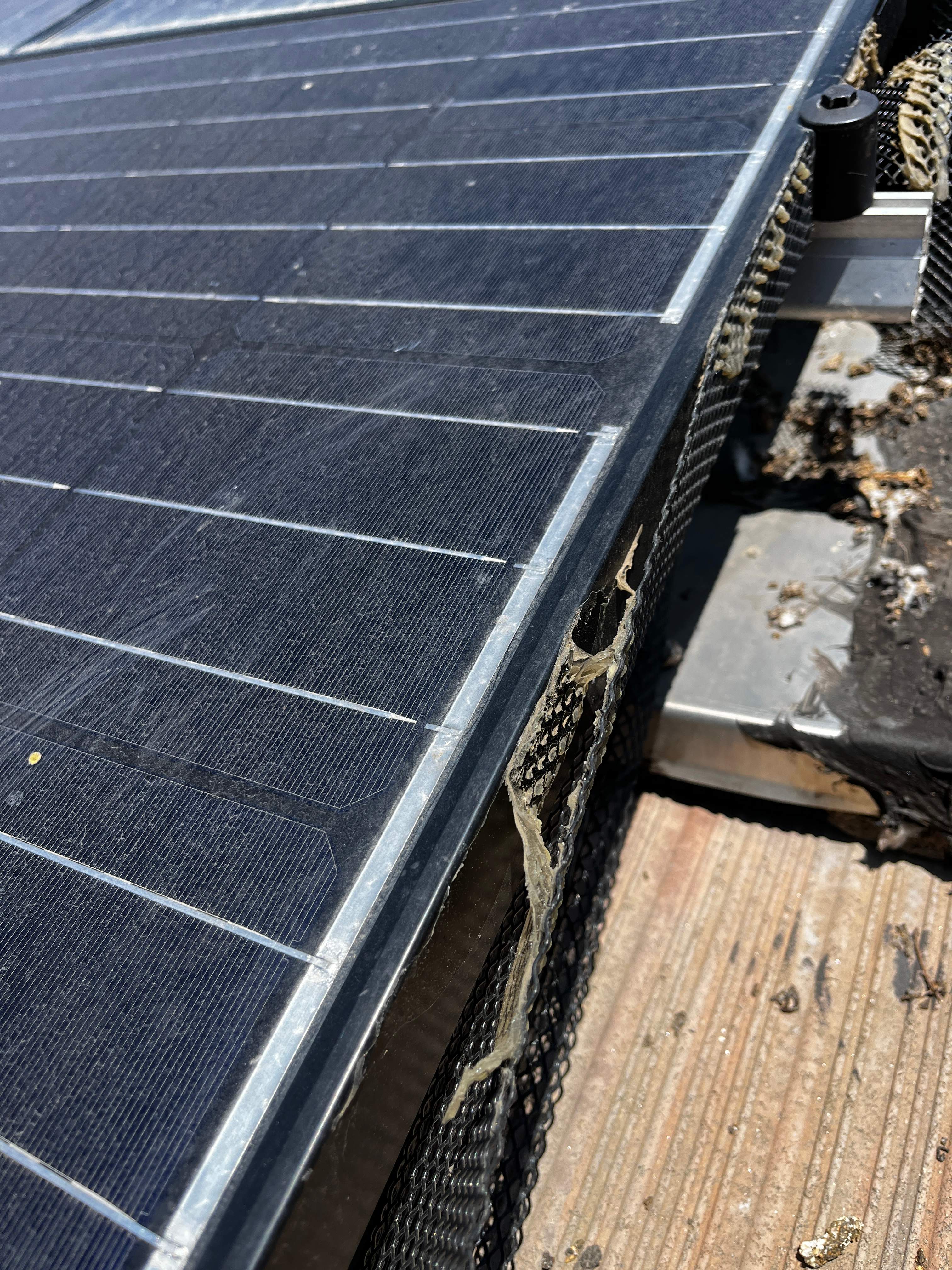 Failed Bird Proofing Installations by Palm Coast Solar Cleaning