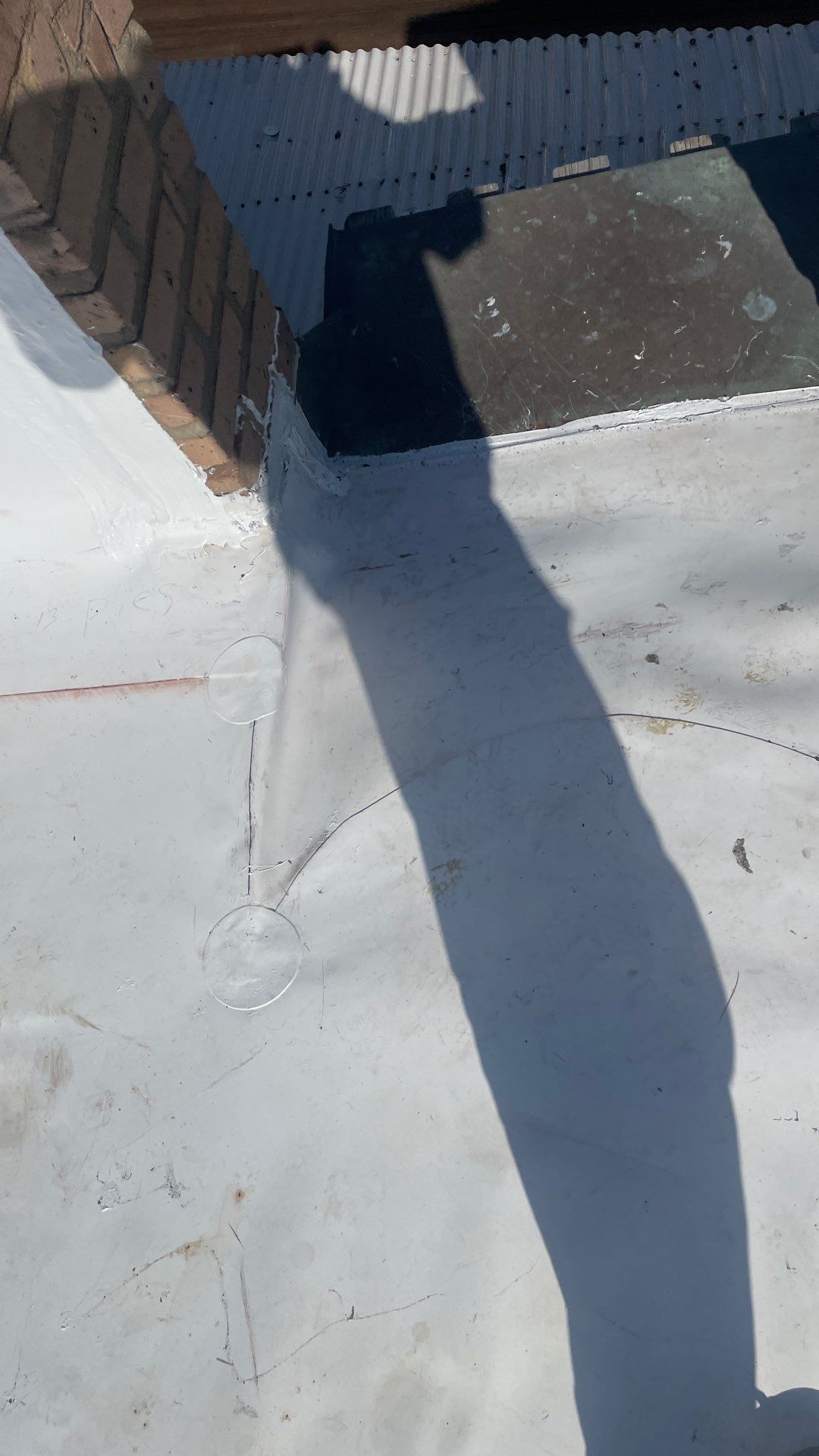 Problems in Paradise  by Bayfront Roofing and Construction