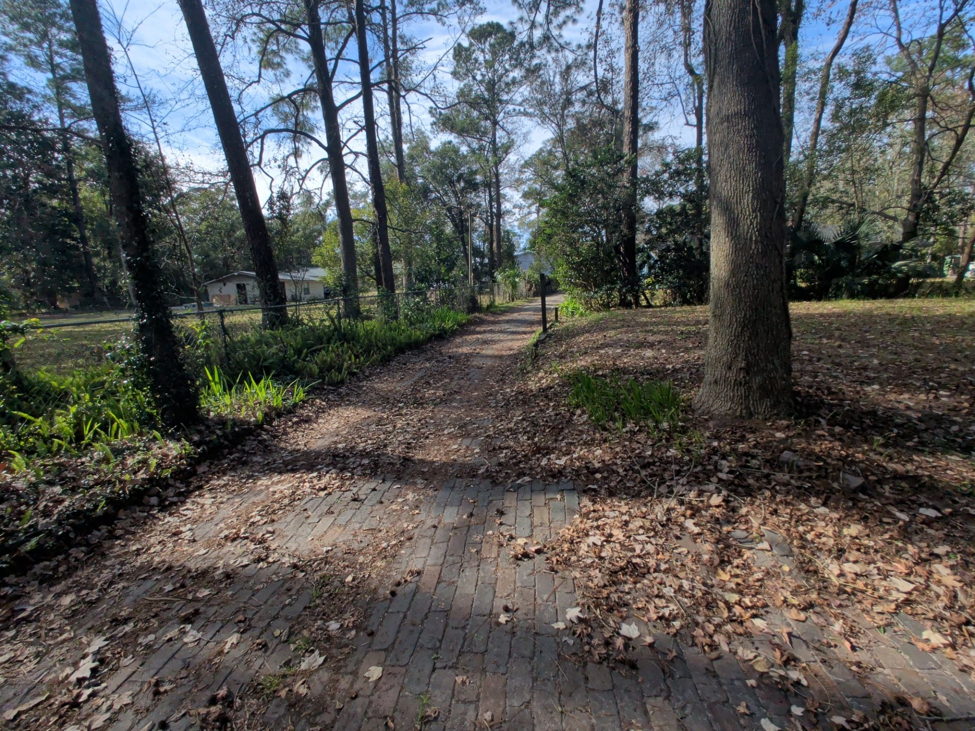 Large-Scale Leaf Removal & Property Cleanup — Jacksonville, FL (Southside Area) by Harmoni Home Services