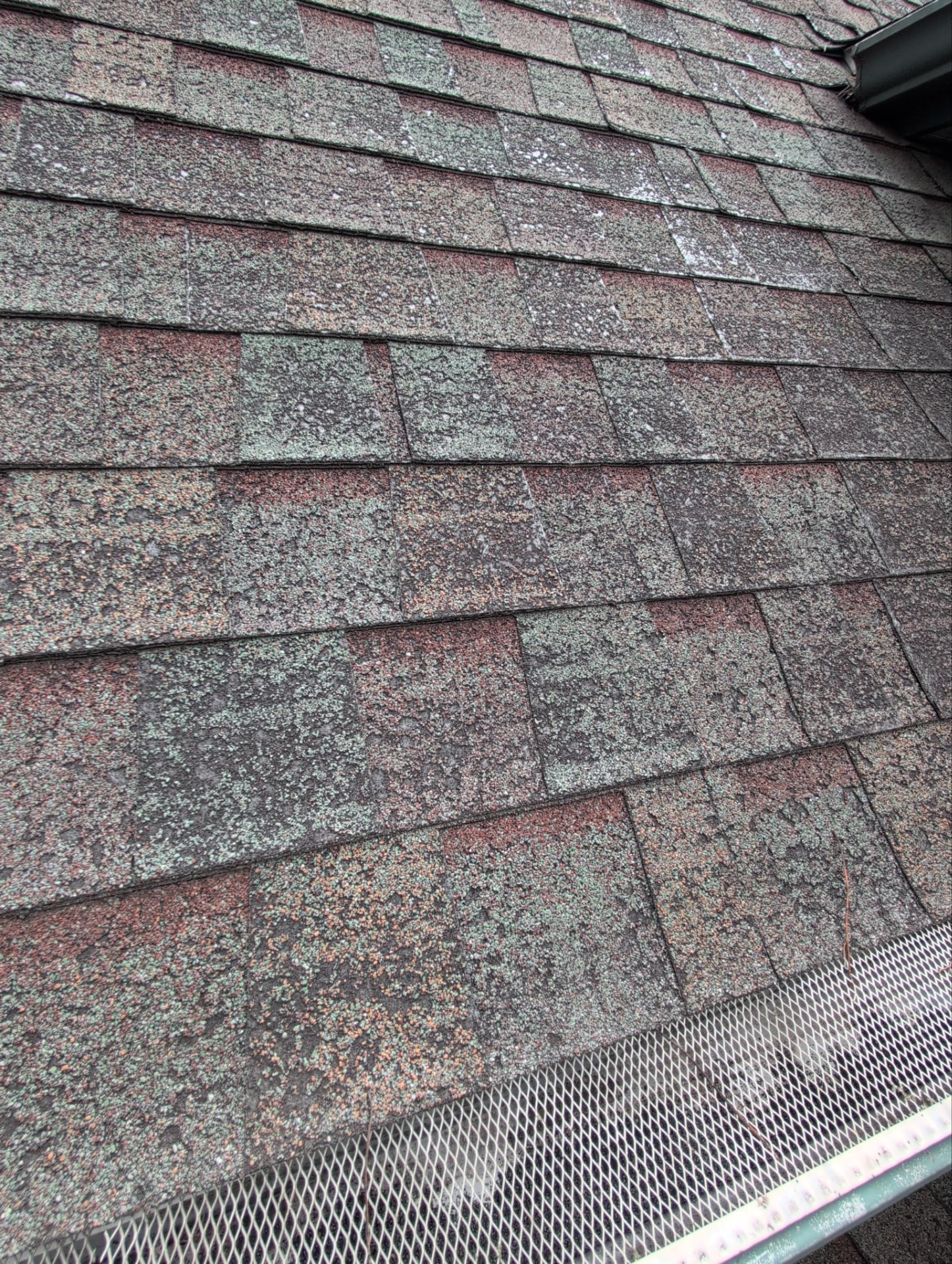 Roof Replacement in Nixa by Table Rock Design + Build