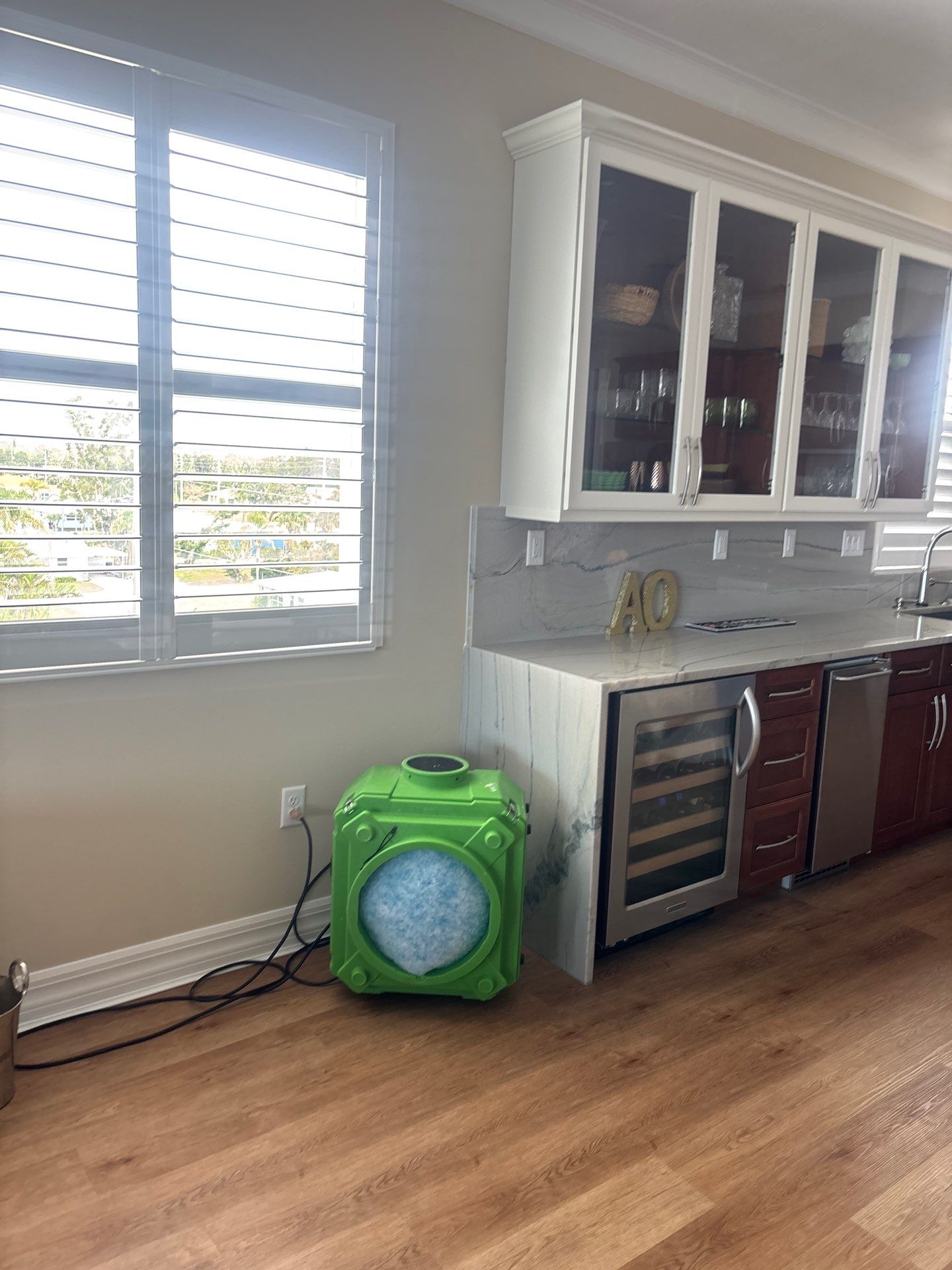 Mold Damage Restoration by Ampm Restoration Services