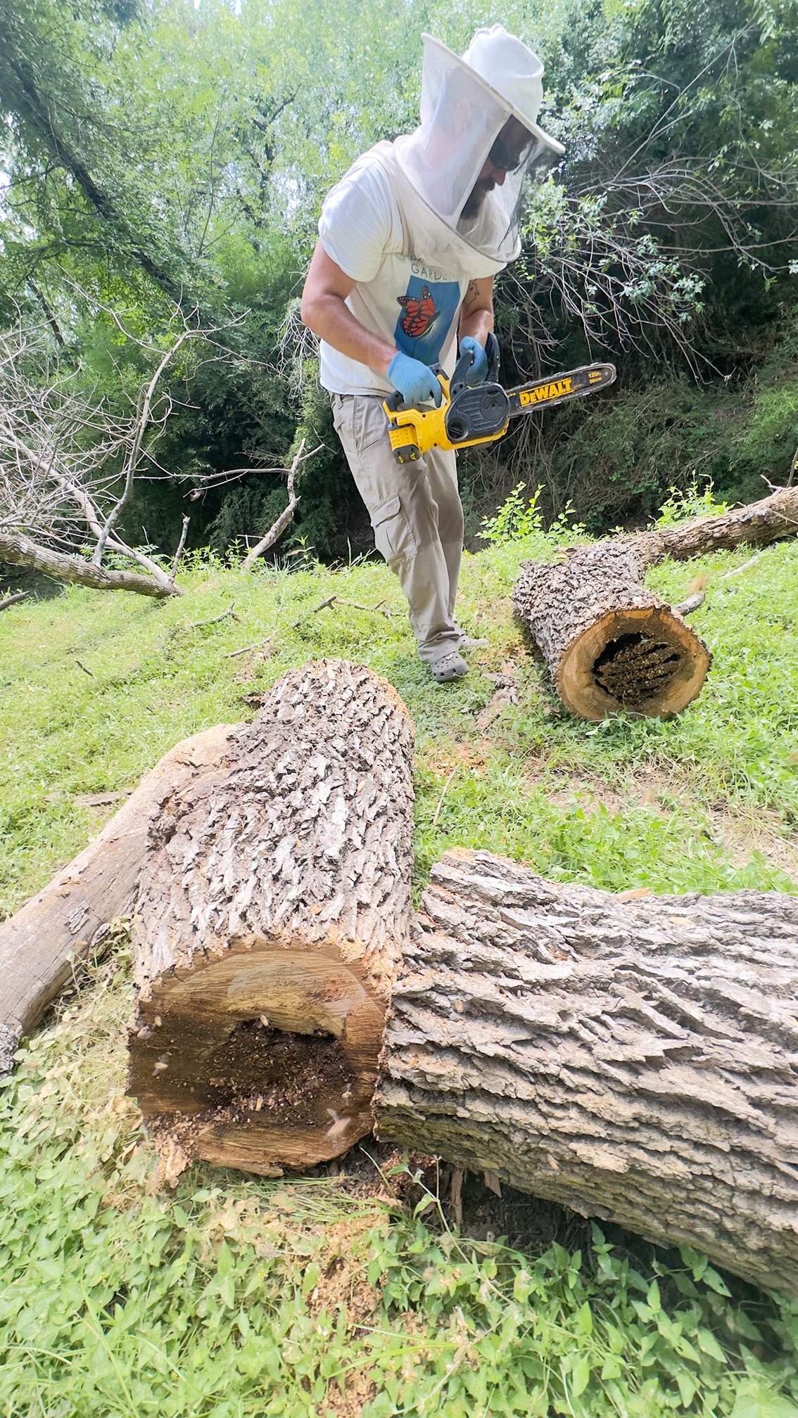 Two Trees One Yard by Rockwall Honey Bee Company