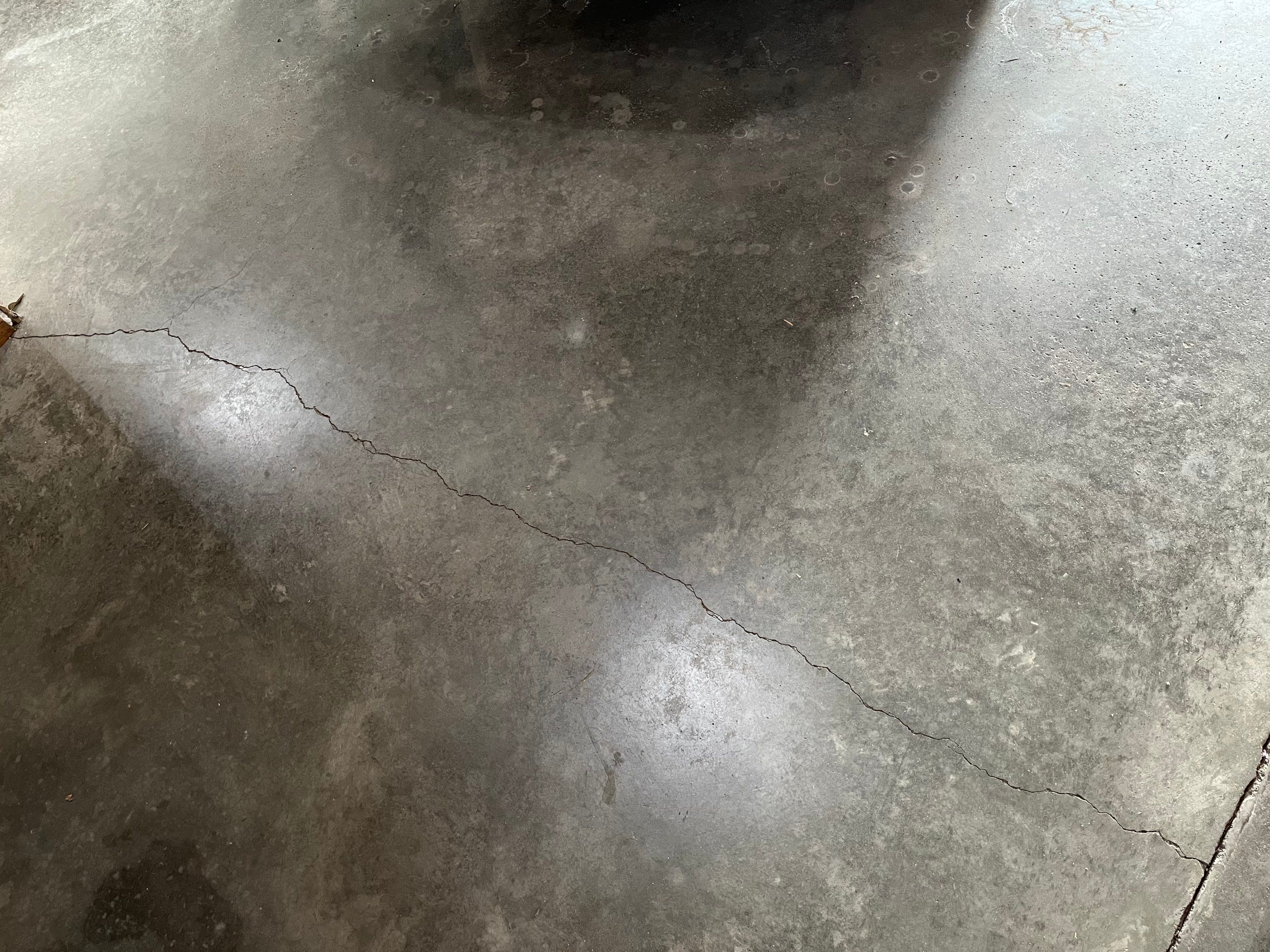 Garage using Domino  by Select Painting, Coatings & Garage Cabinets