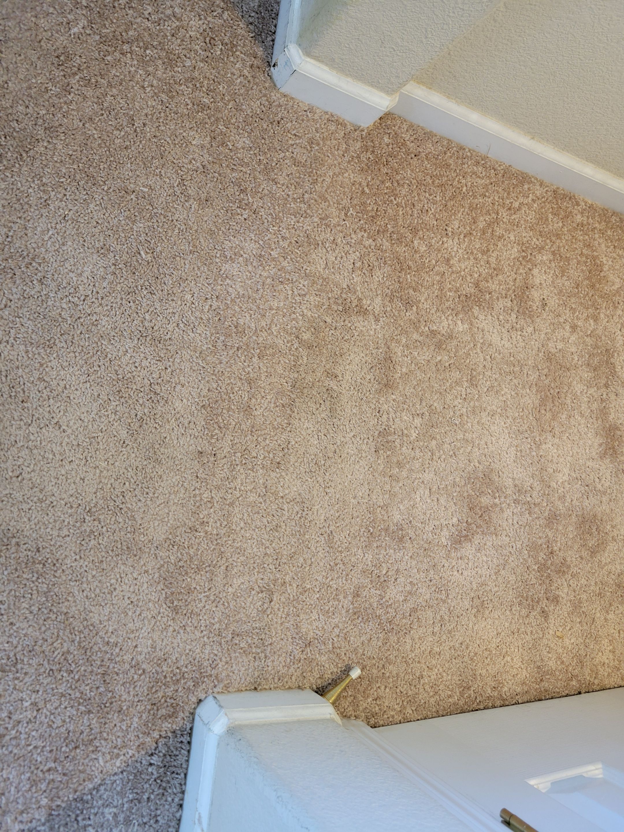 Carpet Re-stretching and Corrective Repair by Ardent Carpet Restore LLC