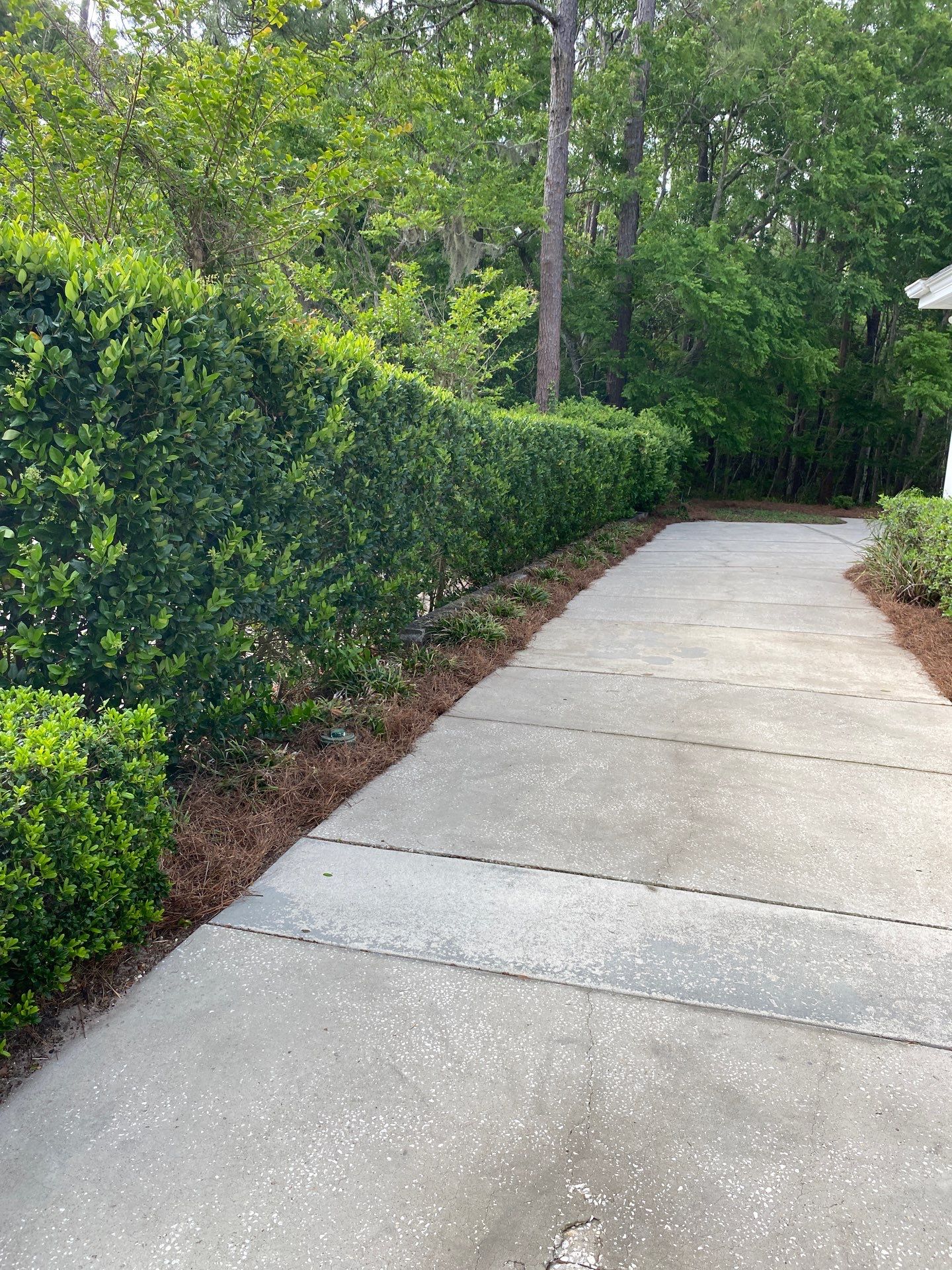 Deerwood Resident | Pine Straw Installation by ProGreen Services
