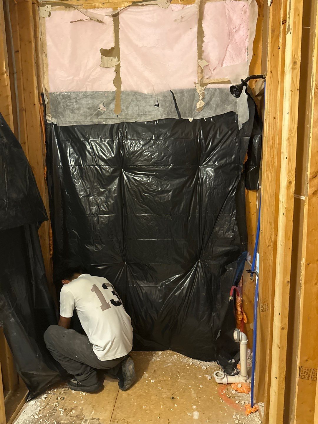Bathroom and Crawlspace Water Damage and Mold by Healthy Home Solutions