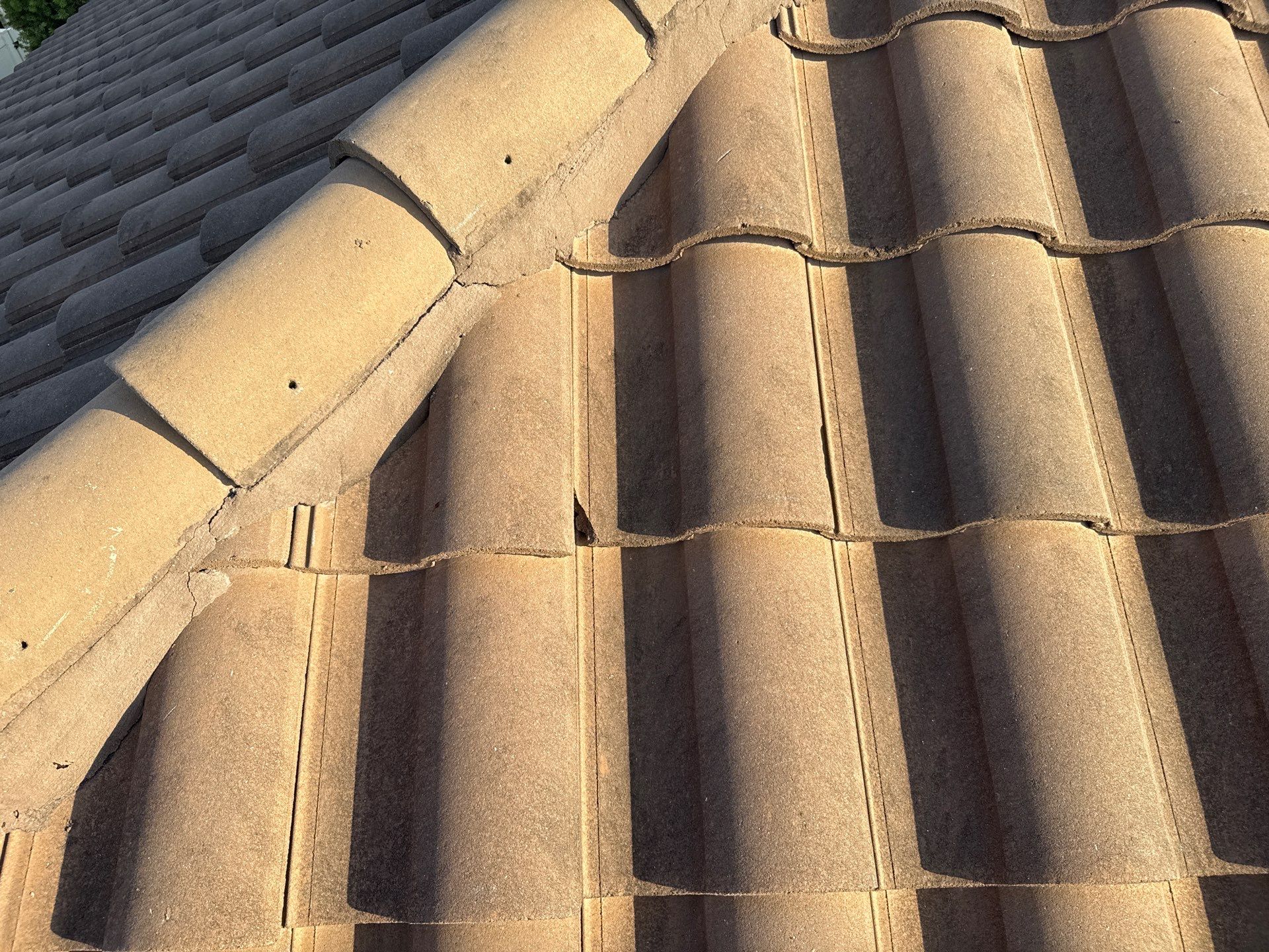 Soft Wash Roof Cleaning – Concrete Tile Roof | Artisan Lakes Esplanade, Palmetto, FL by Sunshine AquaWash