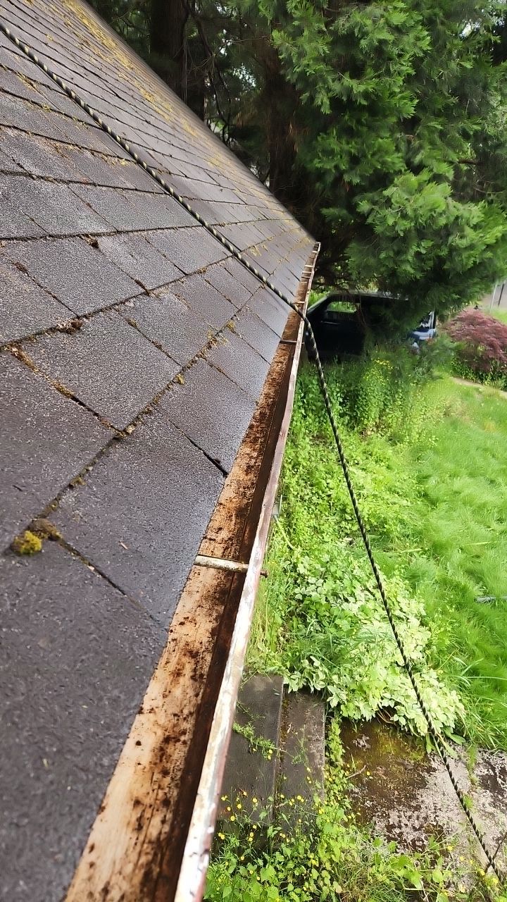 Moss Treatment using Biocide by Willamette Outdoor Wash LLC