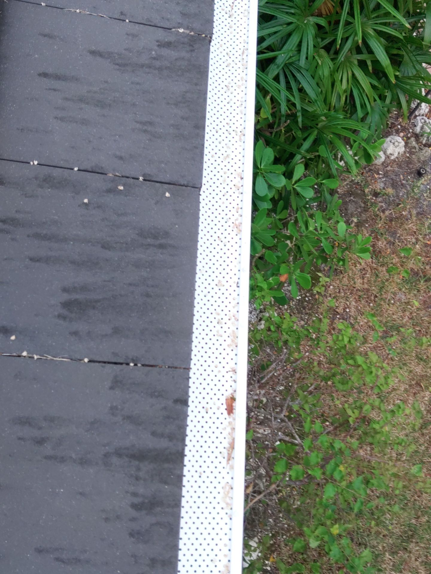 Custom Color Gutter Solutions in Sarasota FL by Gutter Professors