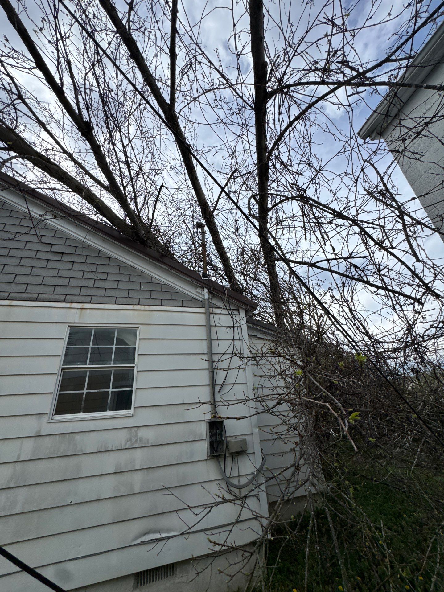Project in Nitro, WV Rotator Crane Lifts Tree Off House | Nitro WV • One Wrong Move Job | Rotator Crane Tree Removal • Heavy Rescue Tree Job | Nitro WV • Extreme Tree Removal Over Home | Nitro WV by Jones Empire LLC