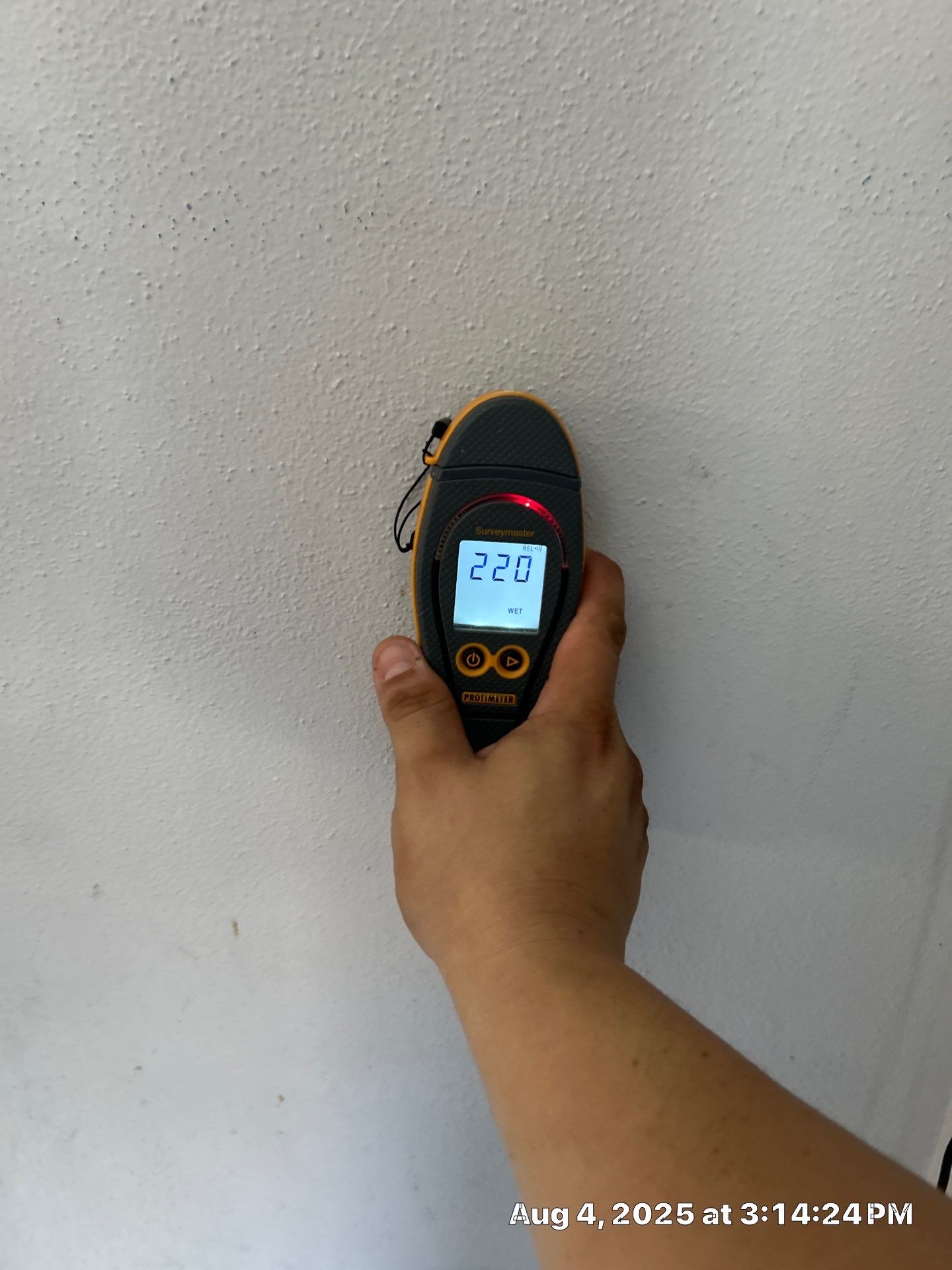 Mold Remediation In Sarasota, FL  by Ampm Restoration Services 