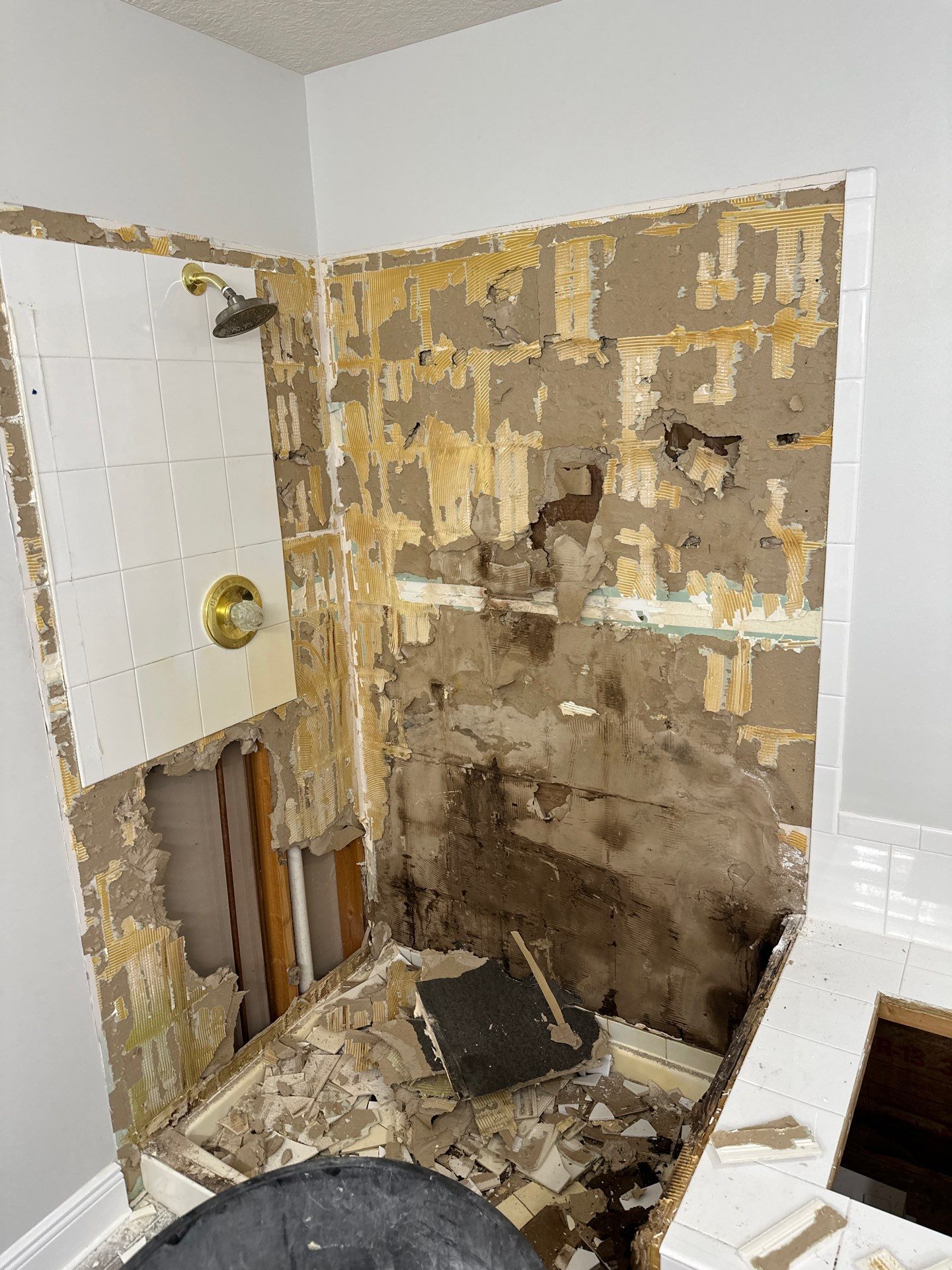 Touch of Gold Bathroom Upgrade by ProCore Contractors