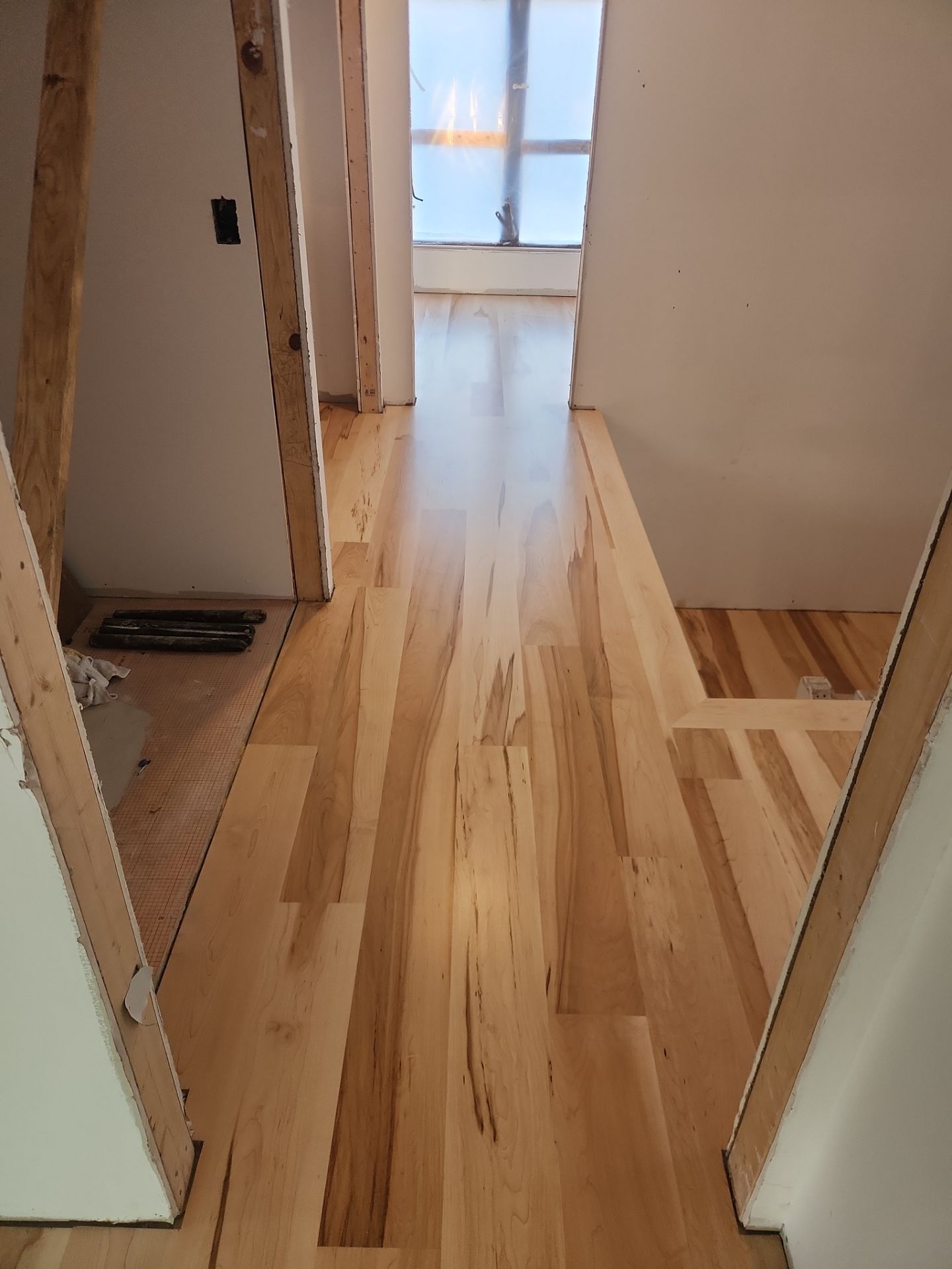 Full glue down Installation over radiant heat 7" Maple character grade by Ann Arbor Hardwoods 