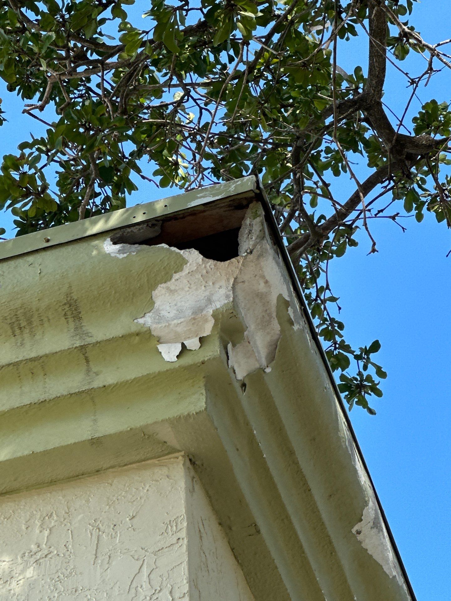 Commercial Exterior Painting by John “The Greek” Painting