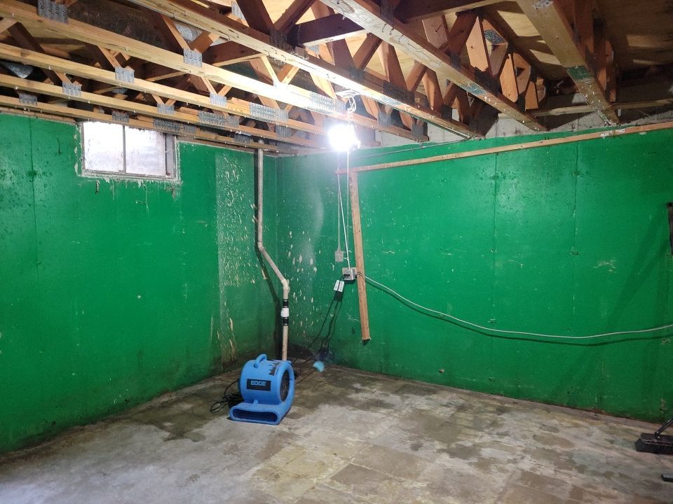 Grossly Contaminated Basement Mold by Chicagoland Water Medics