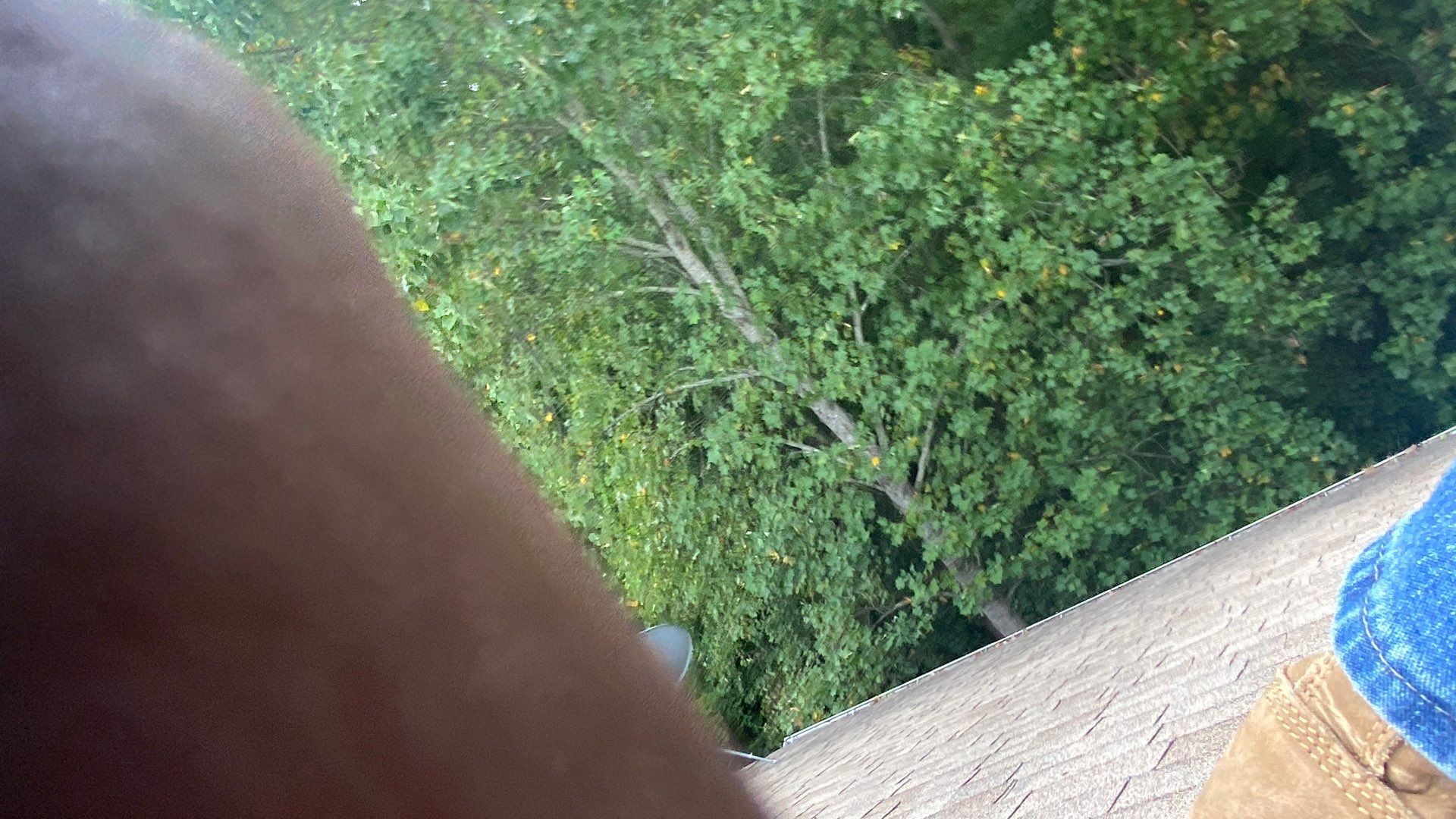 Montclair: Residential Roof Replacement with CertainTeed Landmark Pro Designer Shingles in Max Def Weathered Wood by RM Banning, Inc.