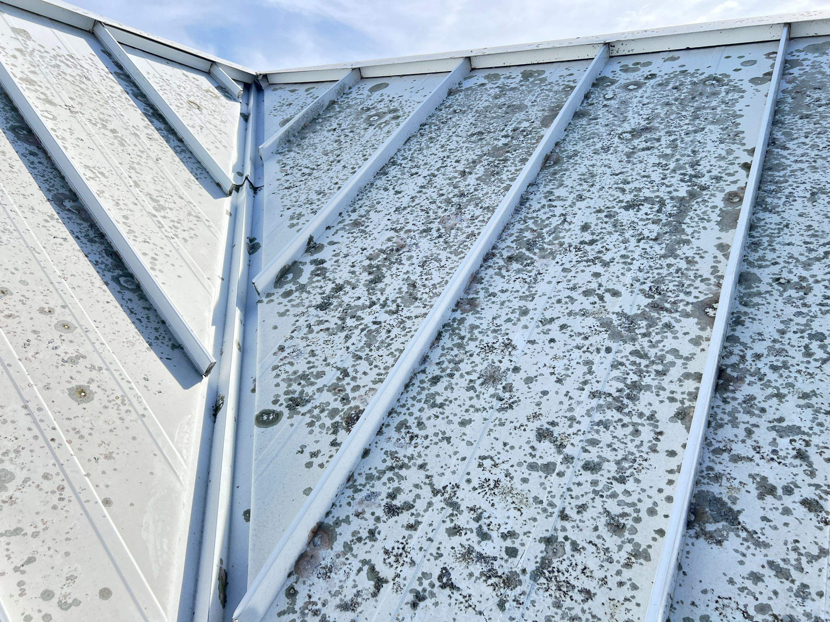 Roof Damage Claim in Sarasota by FLAPA & KeyStone