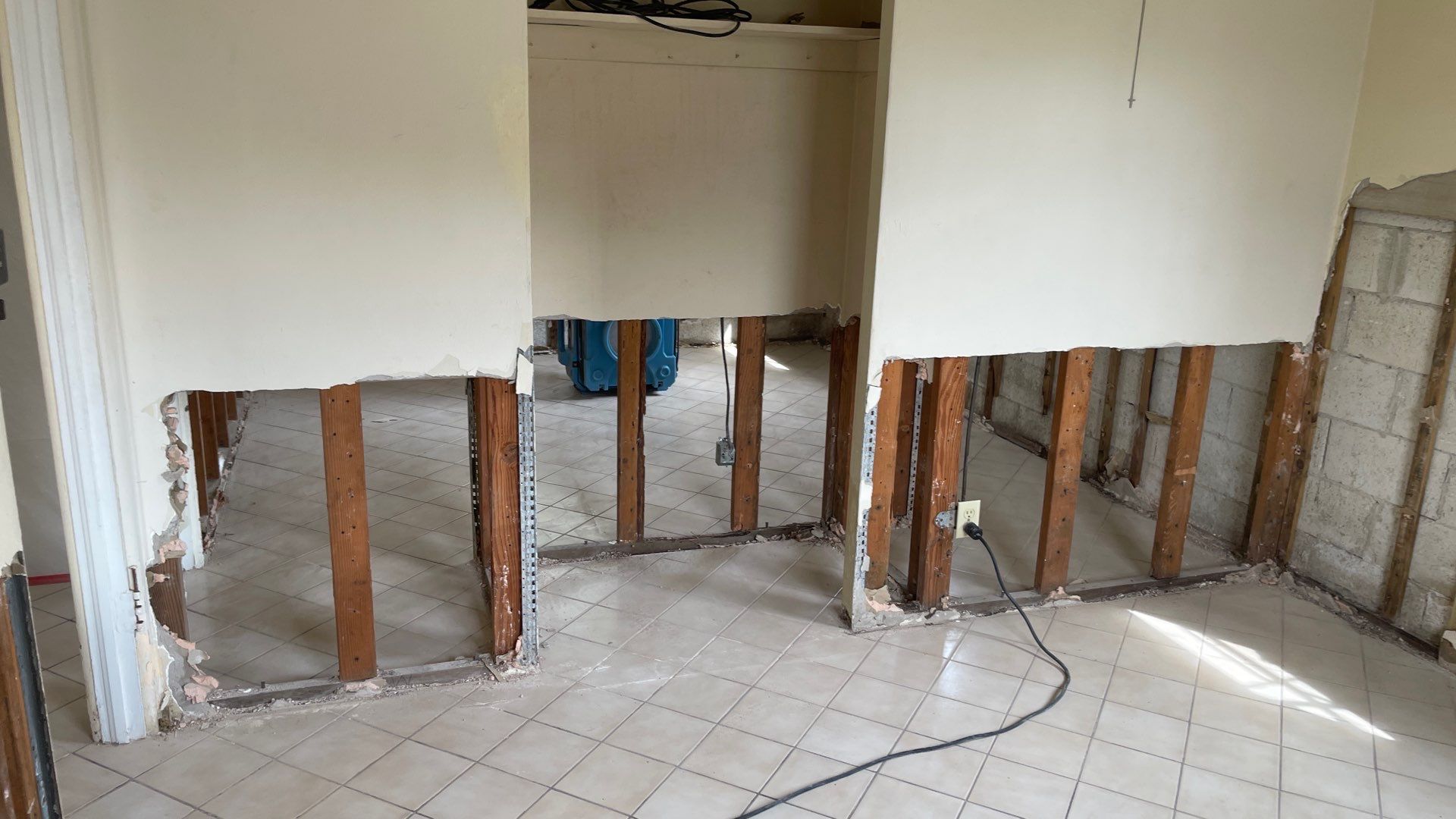 Mold Remediation  by THE RAPID TEAM
