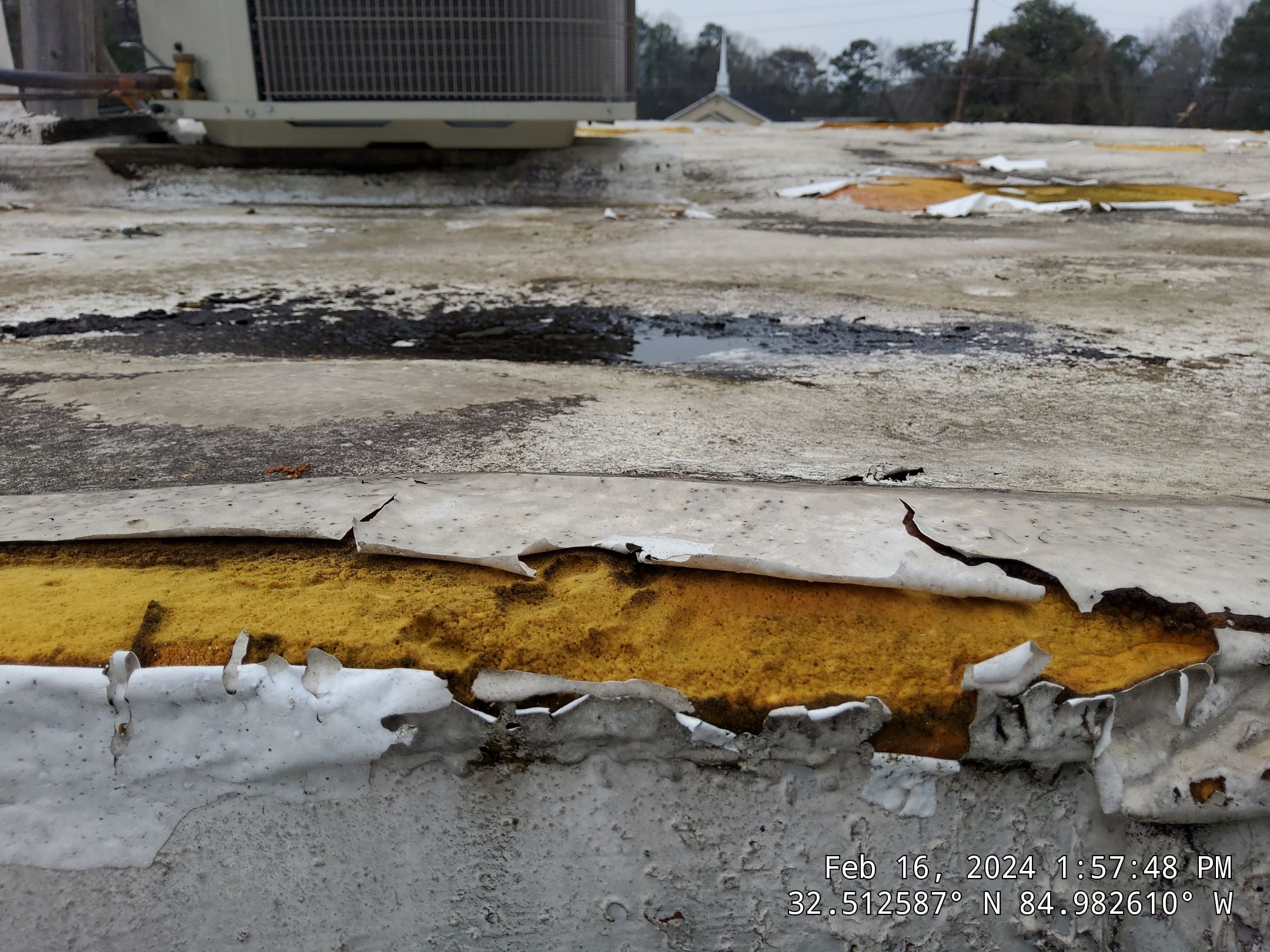 Master Clean Roof and Gutter Cleaning by iGreen Solutions