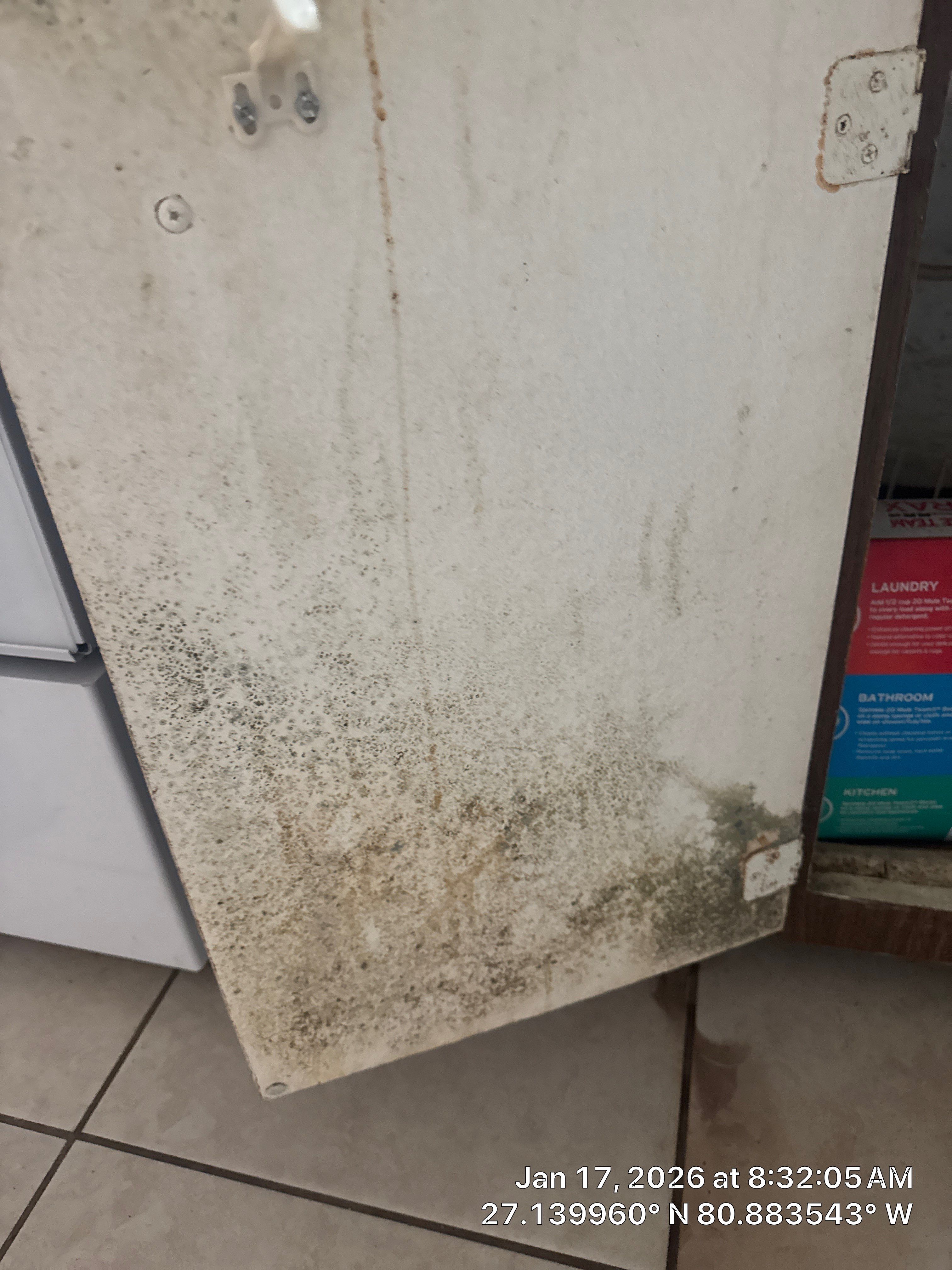 Mold Remediation by SuperClean 